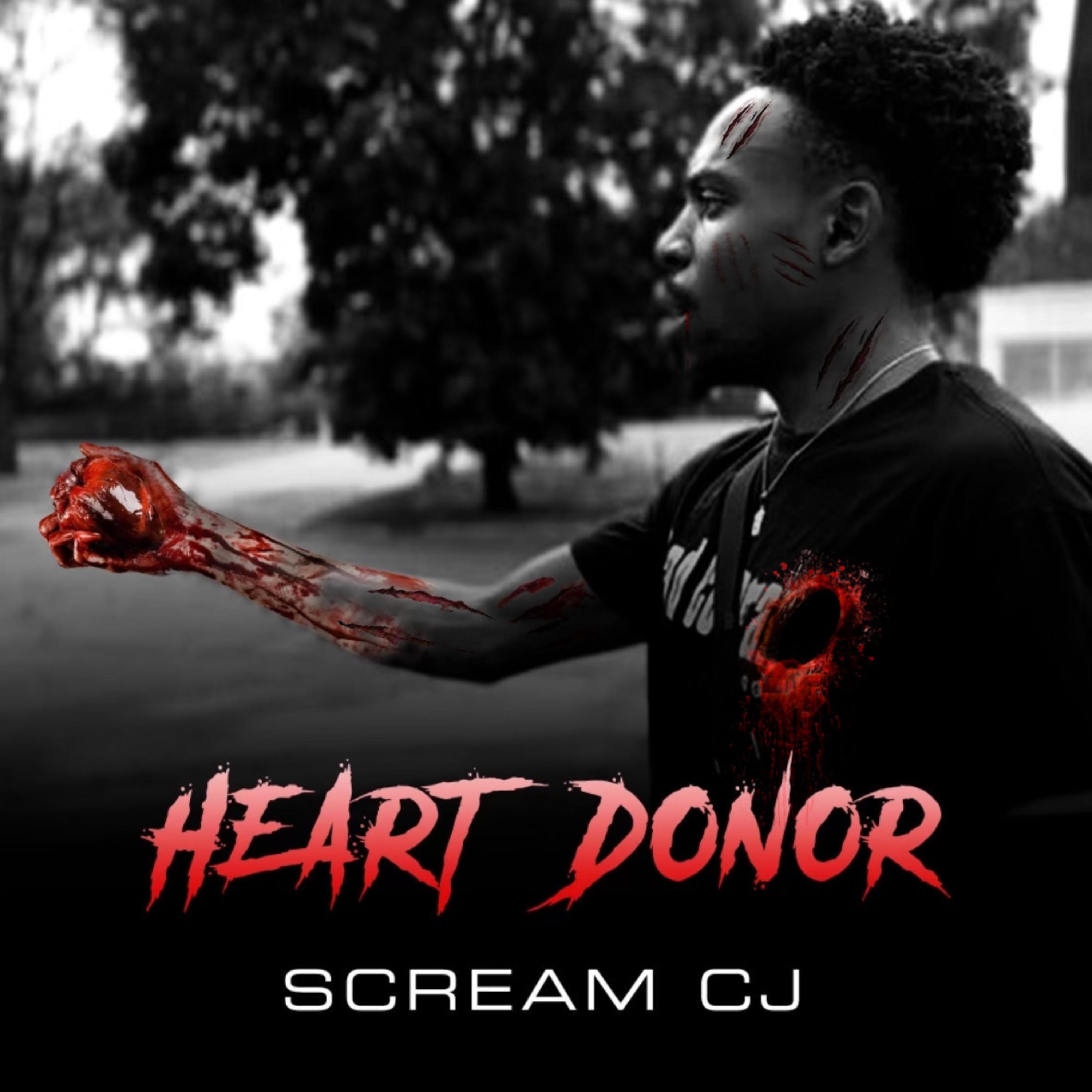 Heart Donor artwork