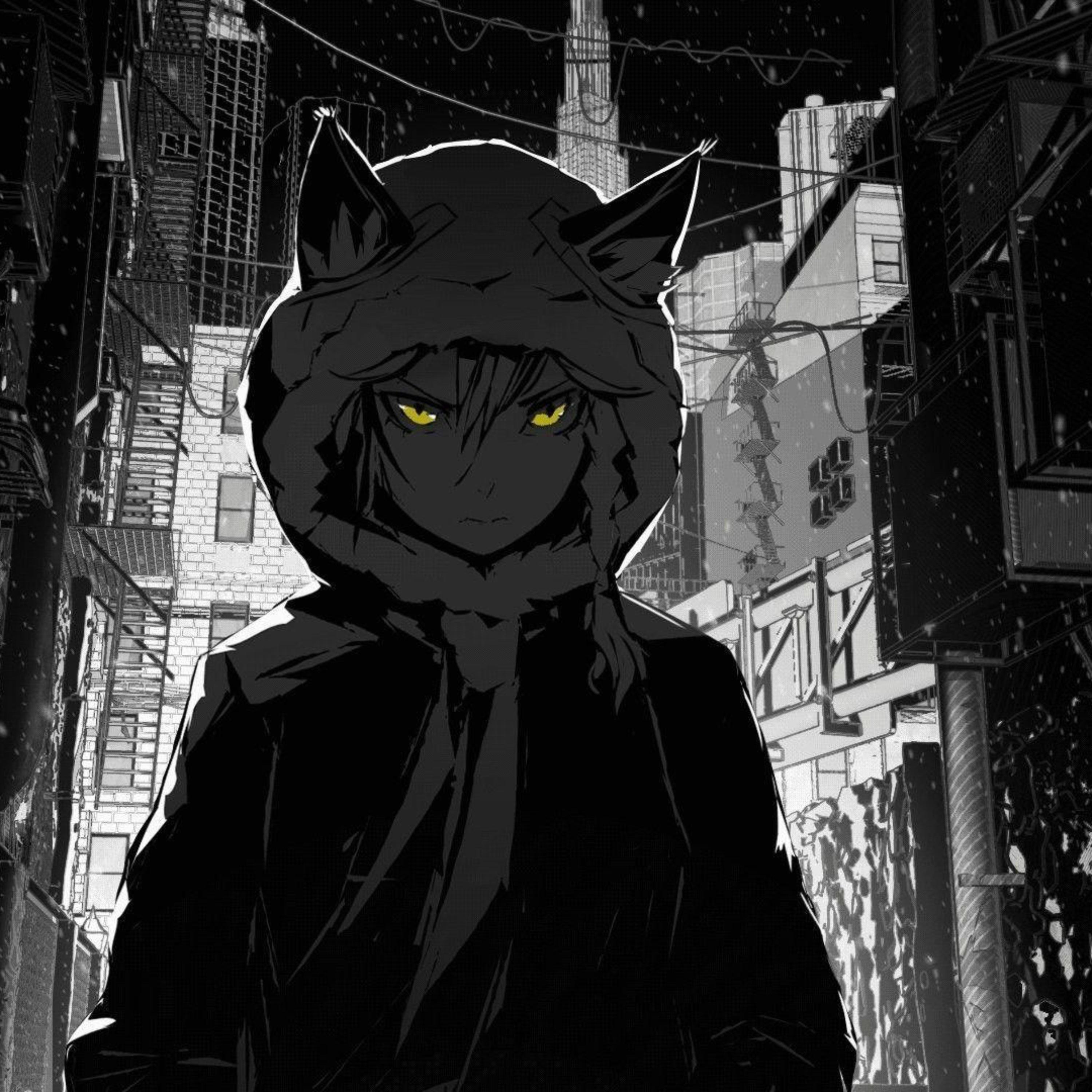 In The Dark artwork