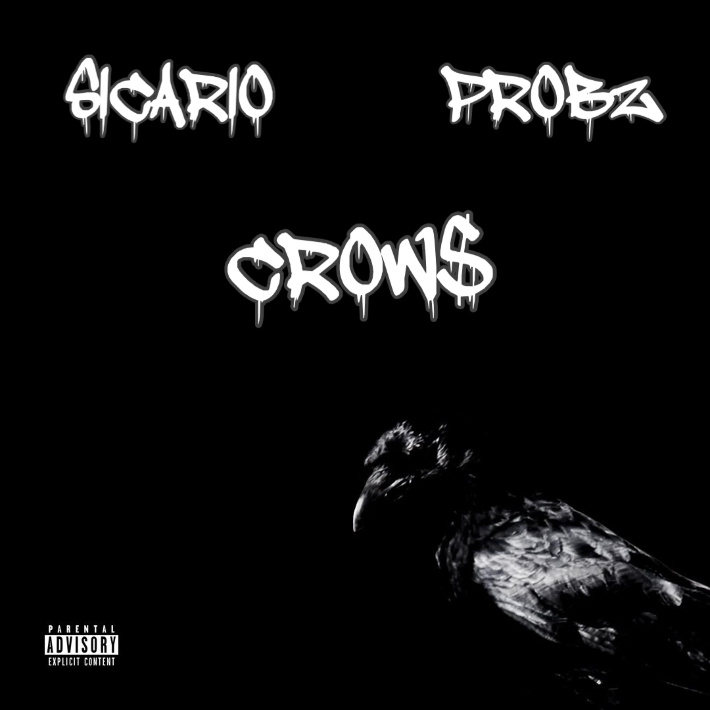 Crow$ artwork