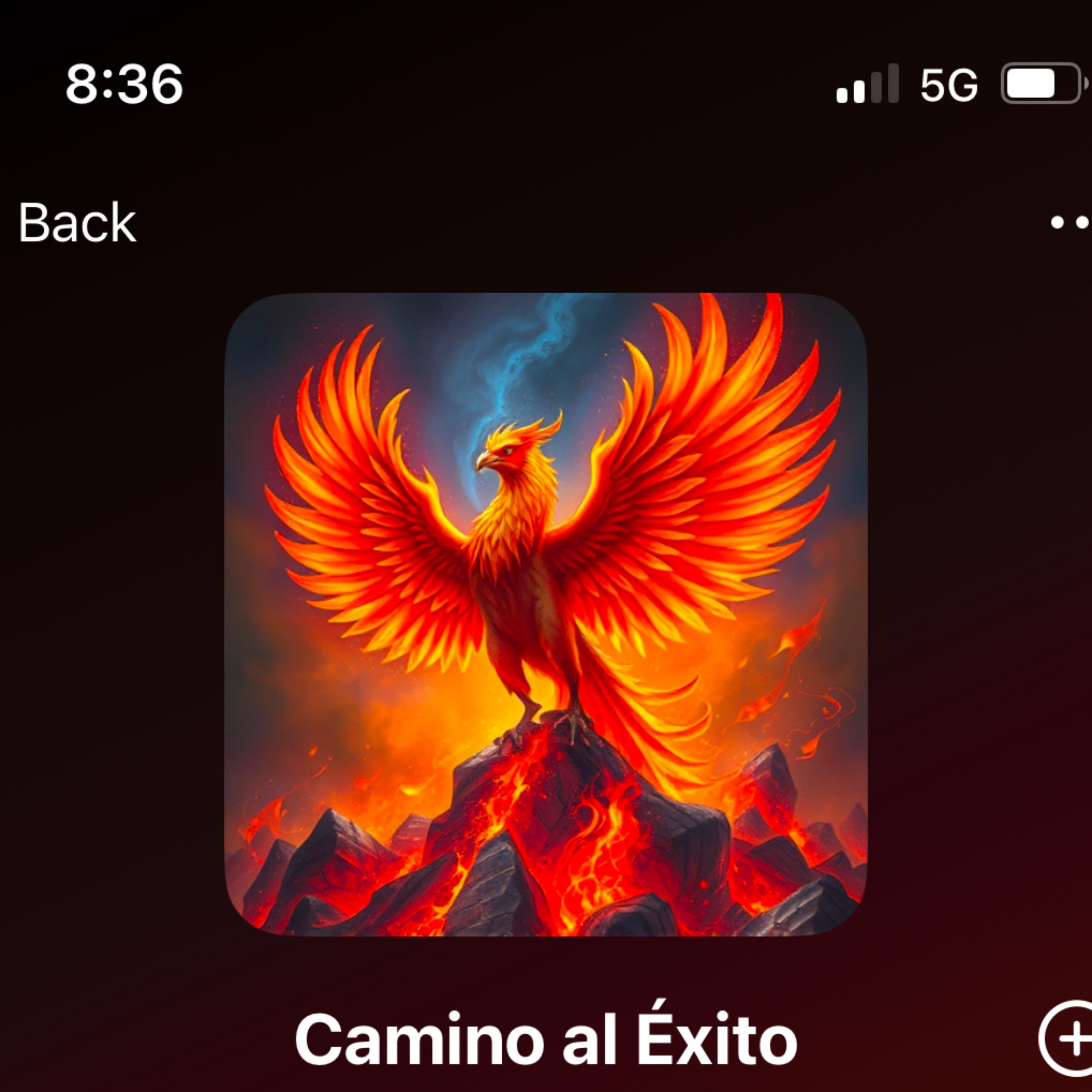 Camino al Exito artwork