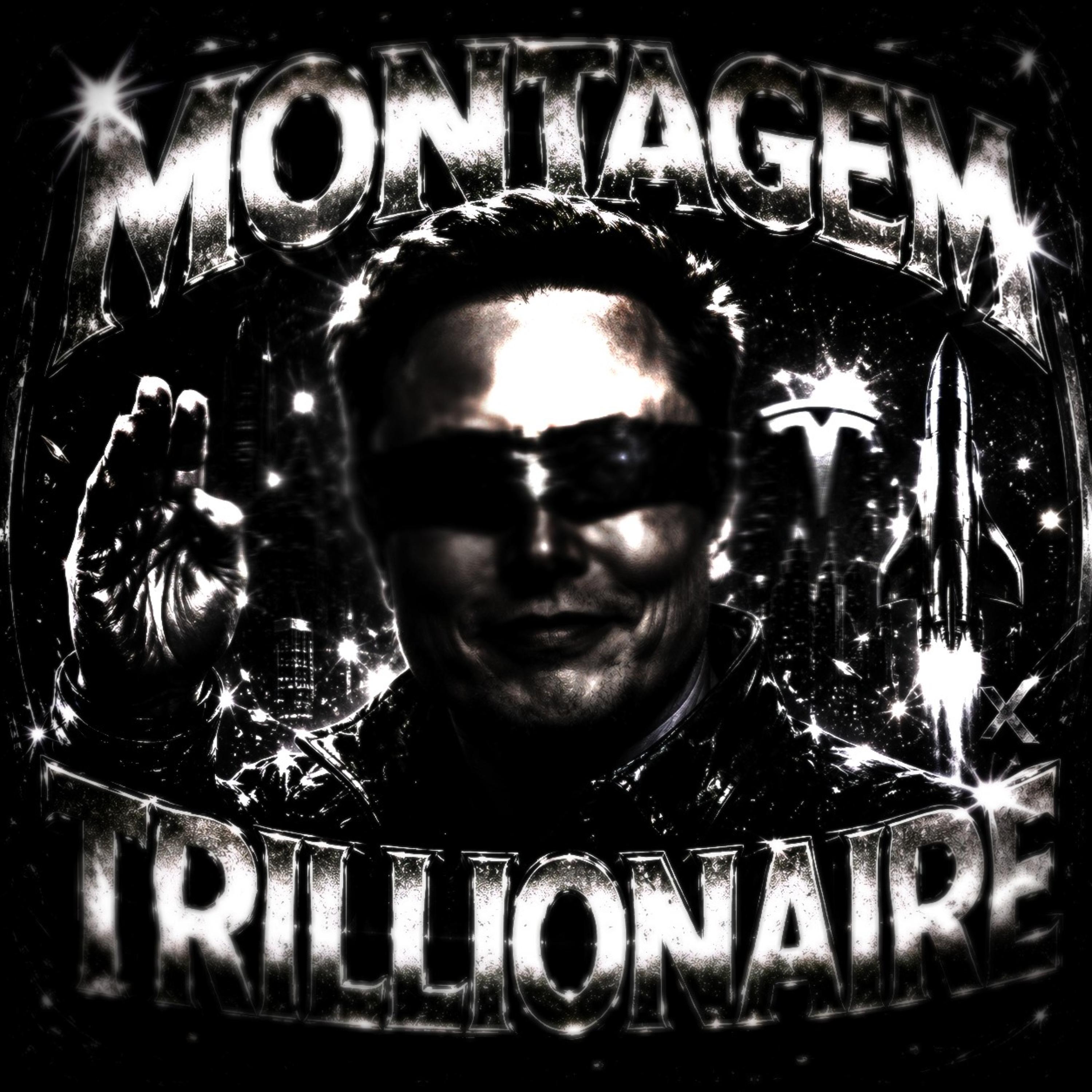 Montagem Trillionaire by James McNew cover art