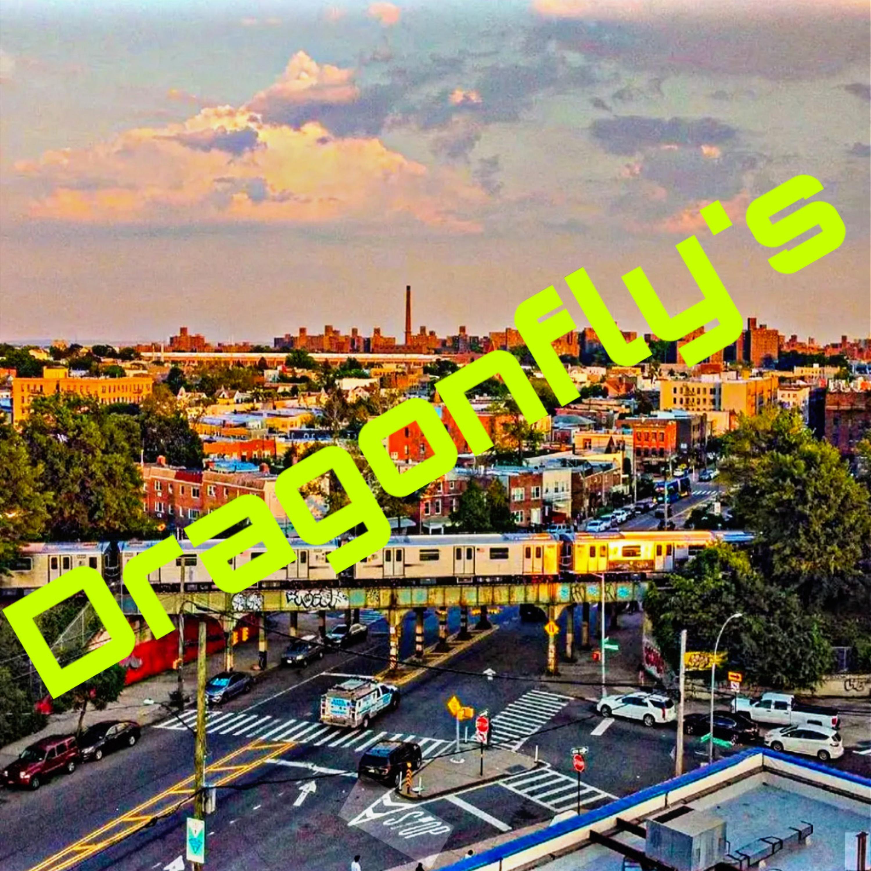 Dragonfly’s by Ycn Ozzy cover art