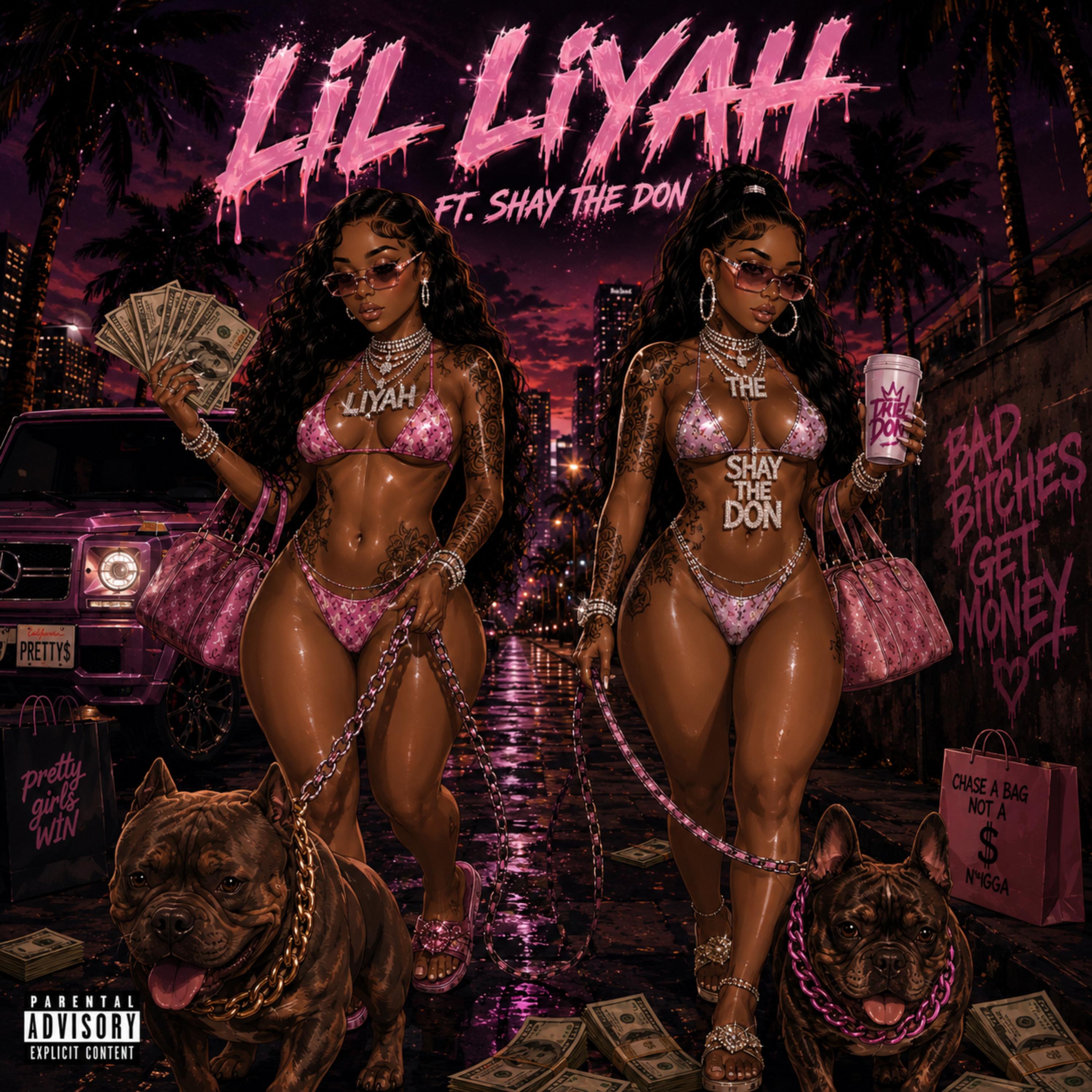 I Hate N* by Lil Liyah cover art