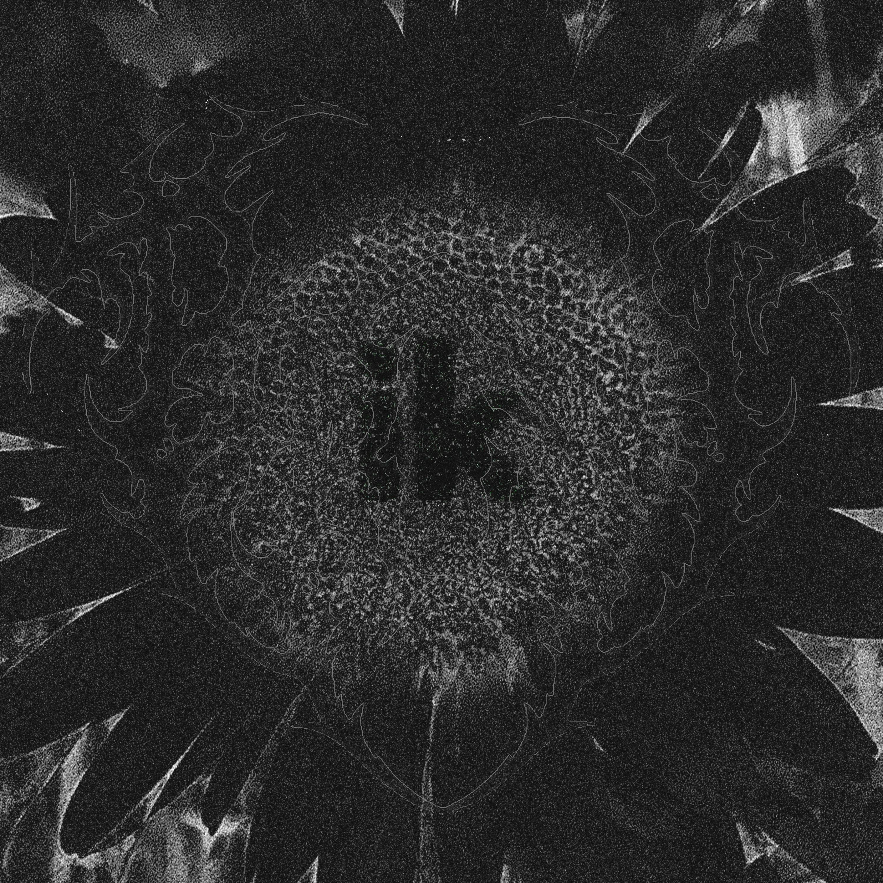 ik. artwork