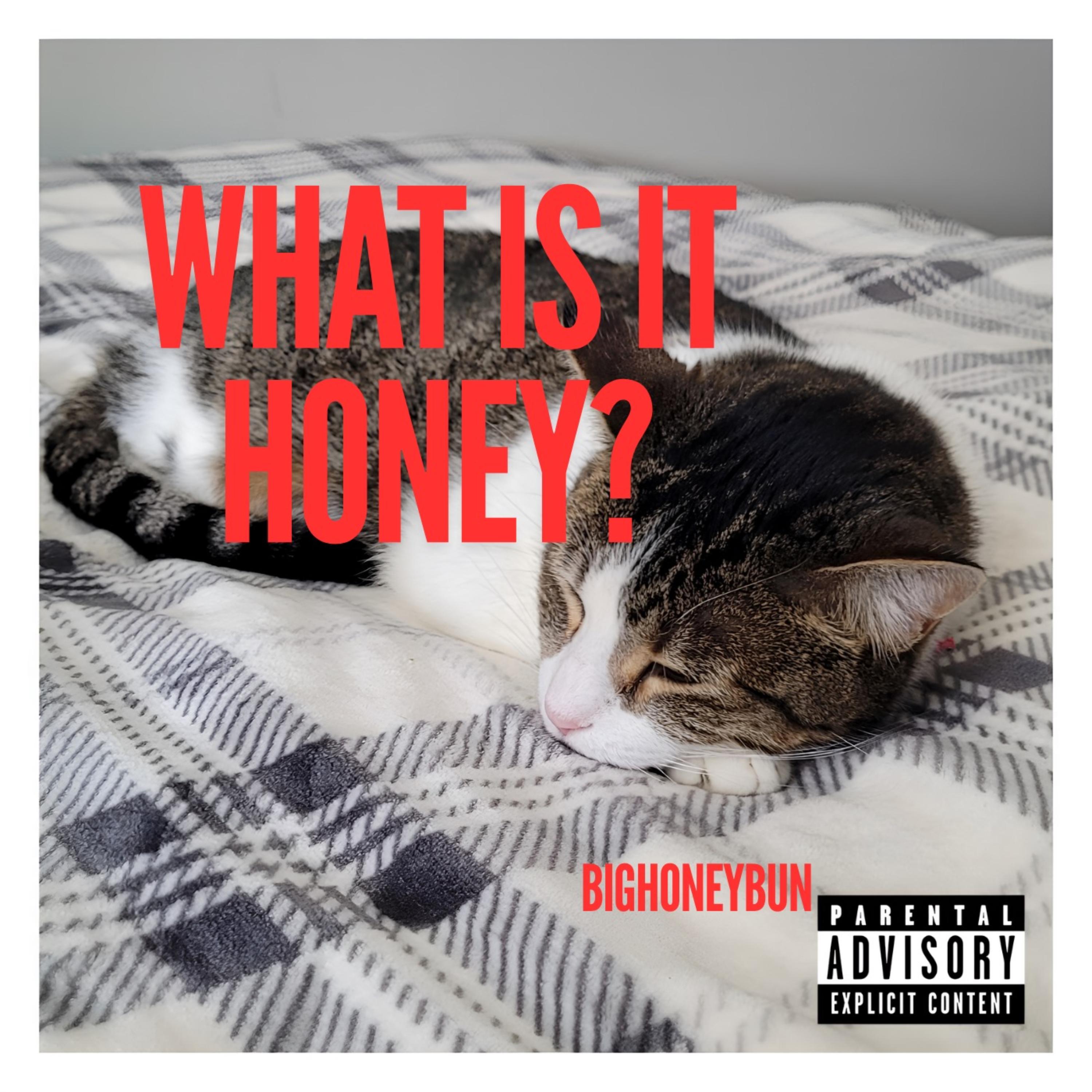 What Is It, Honey? artwork