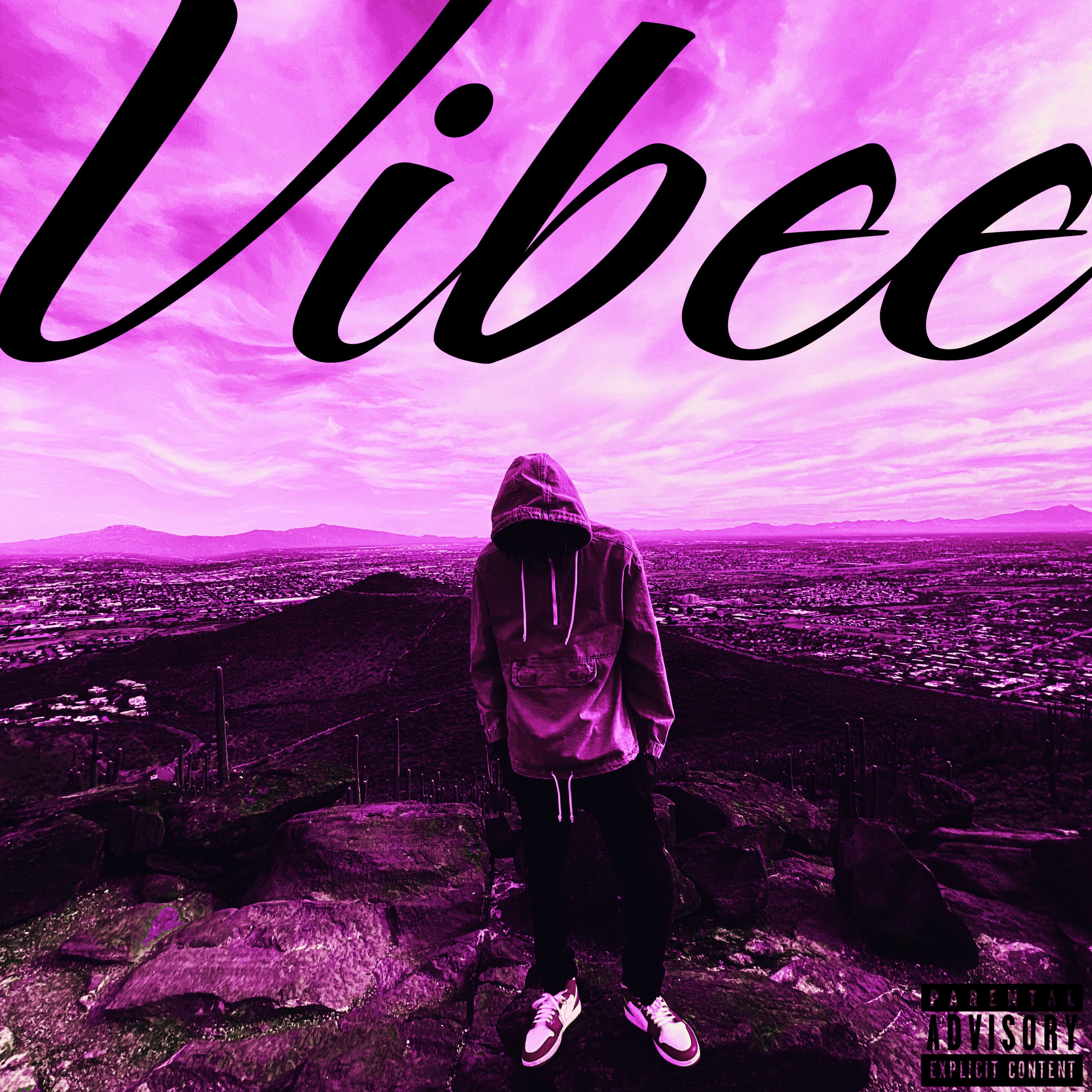 Vibee artwork