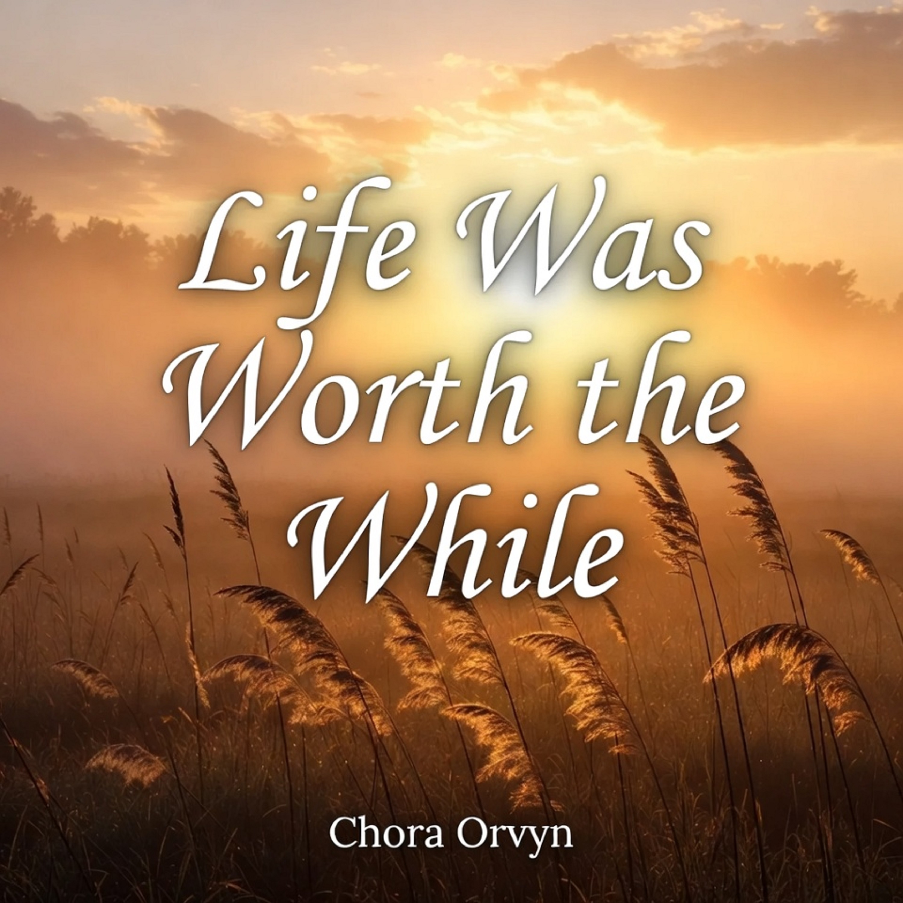 Life Was Worth the While artwork