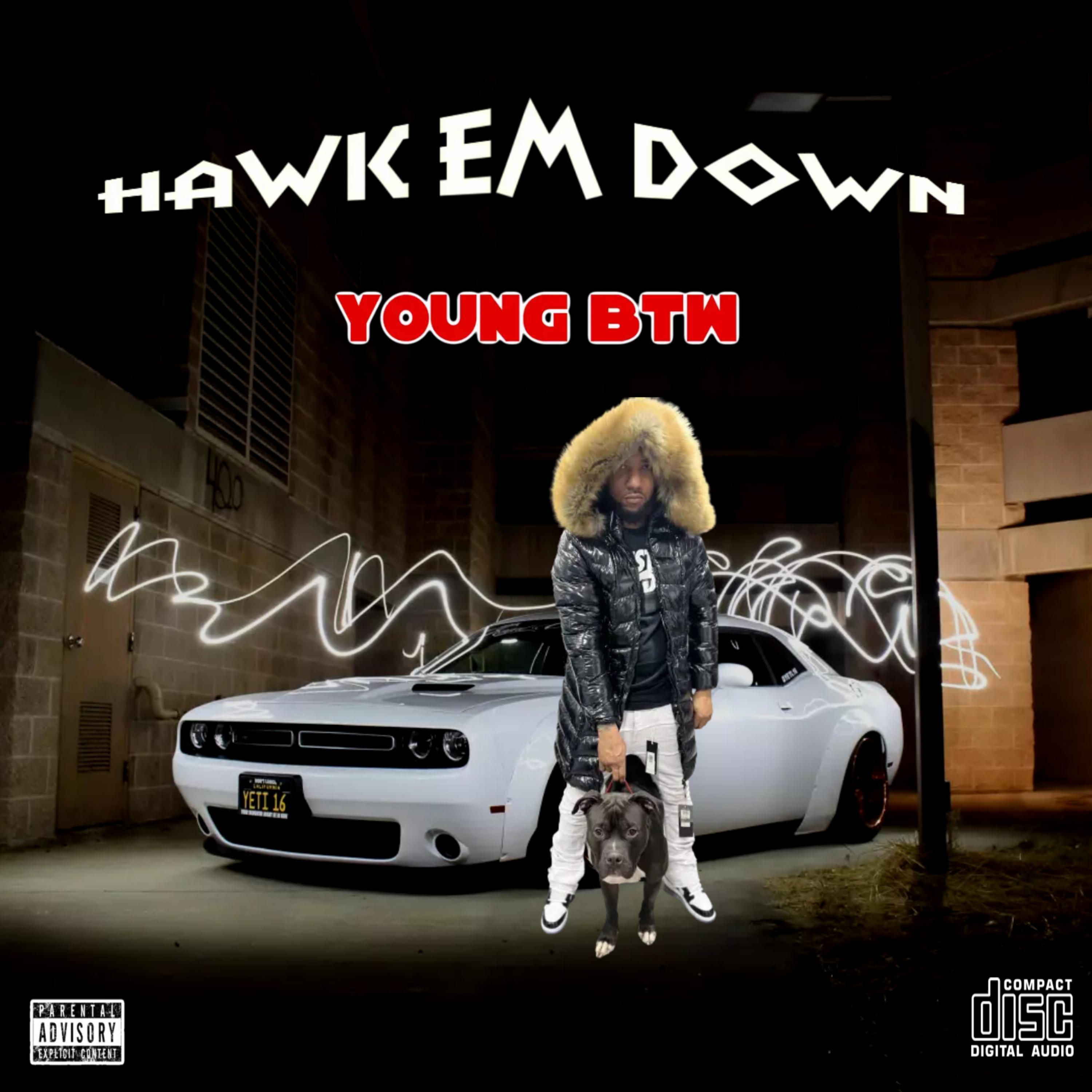 Hawk Em Down artwork
