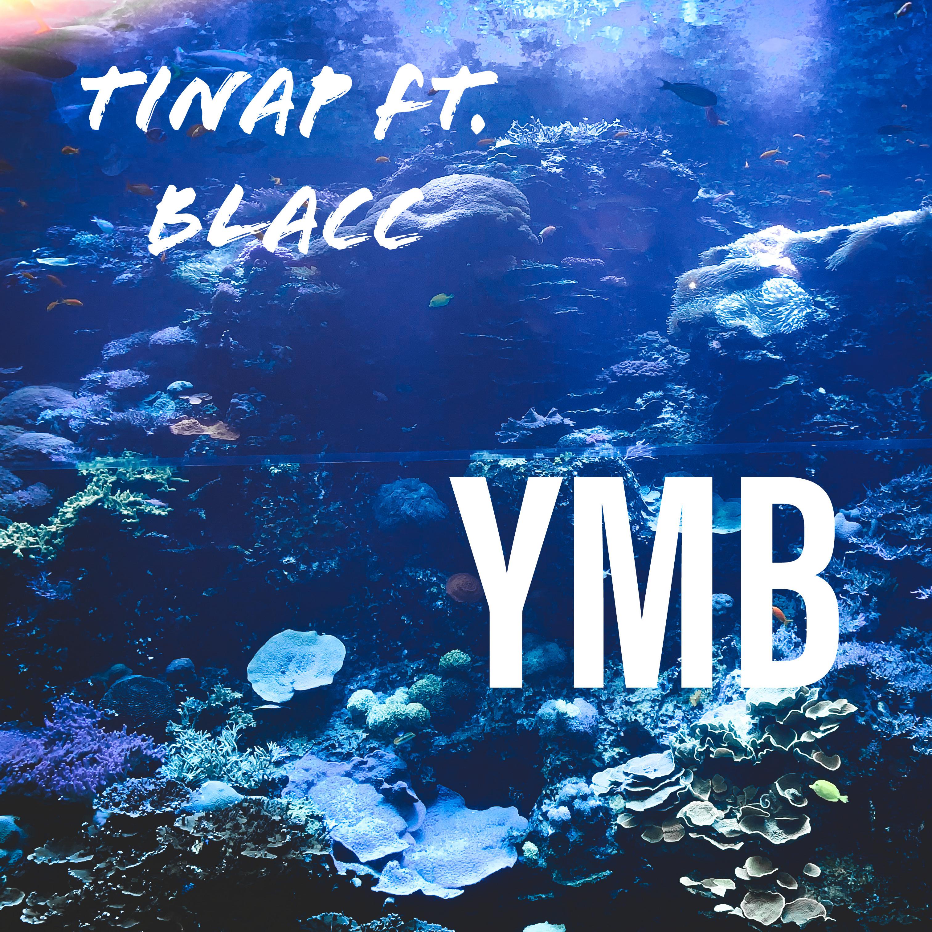 YMB artwork
