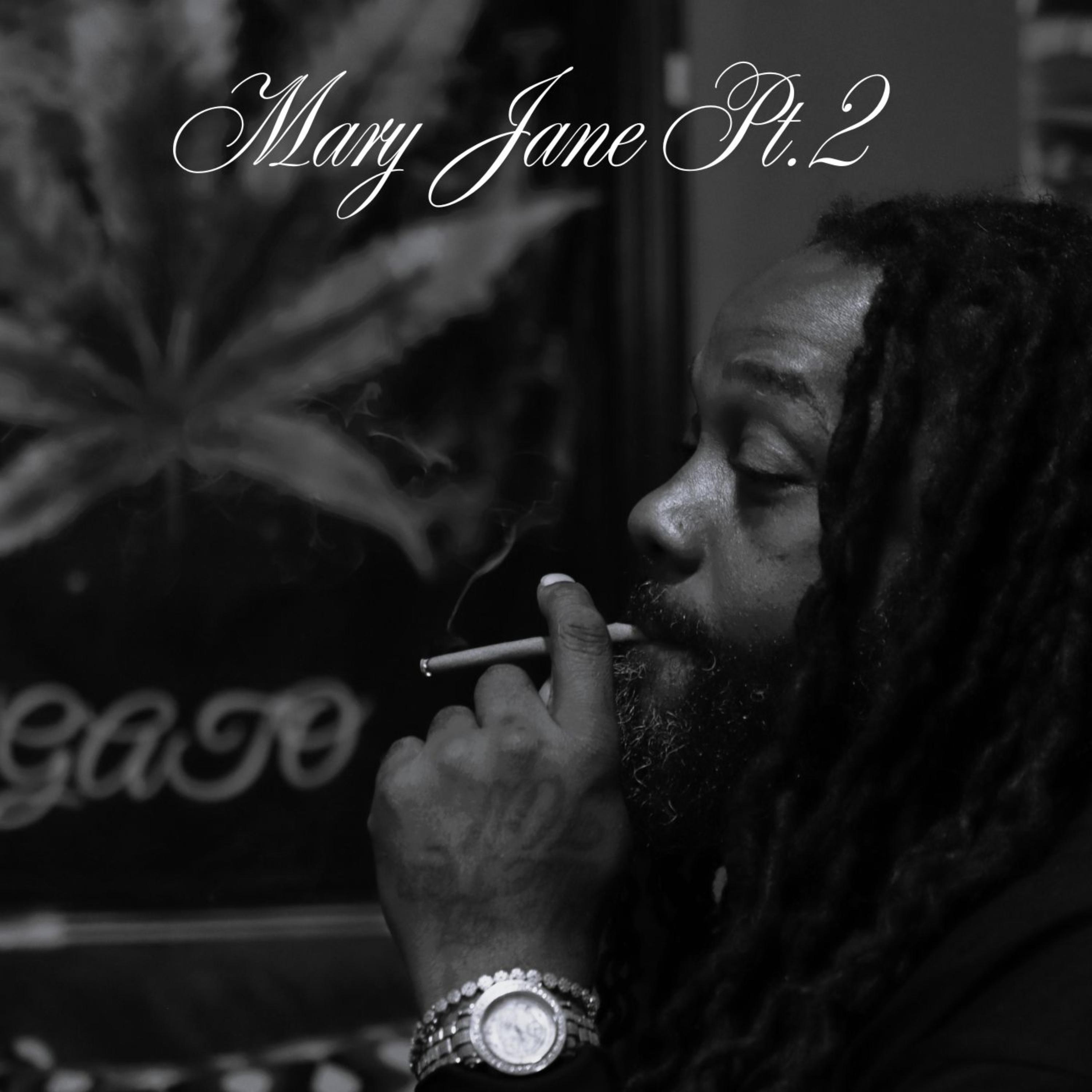 Mary Jane Pt.2 by Big Gato cover art