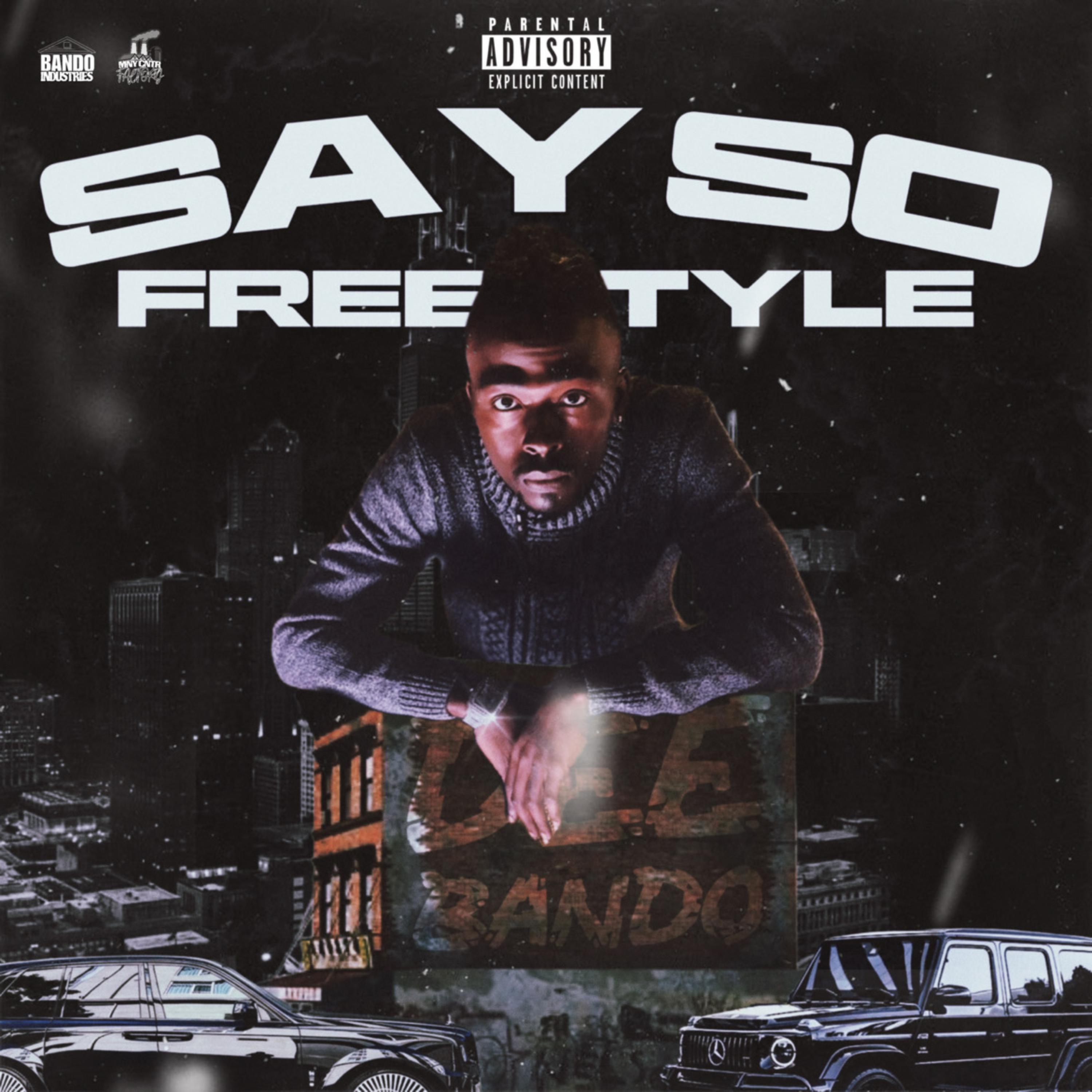 SaySoFreestyle artwork
