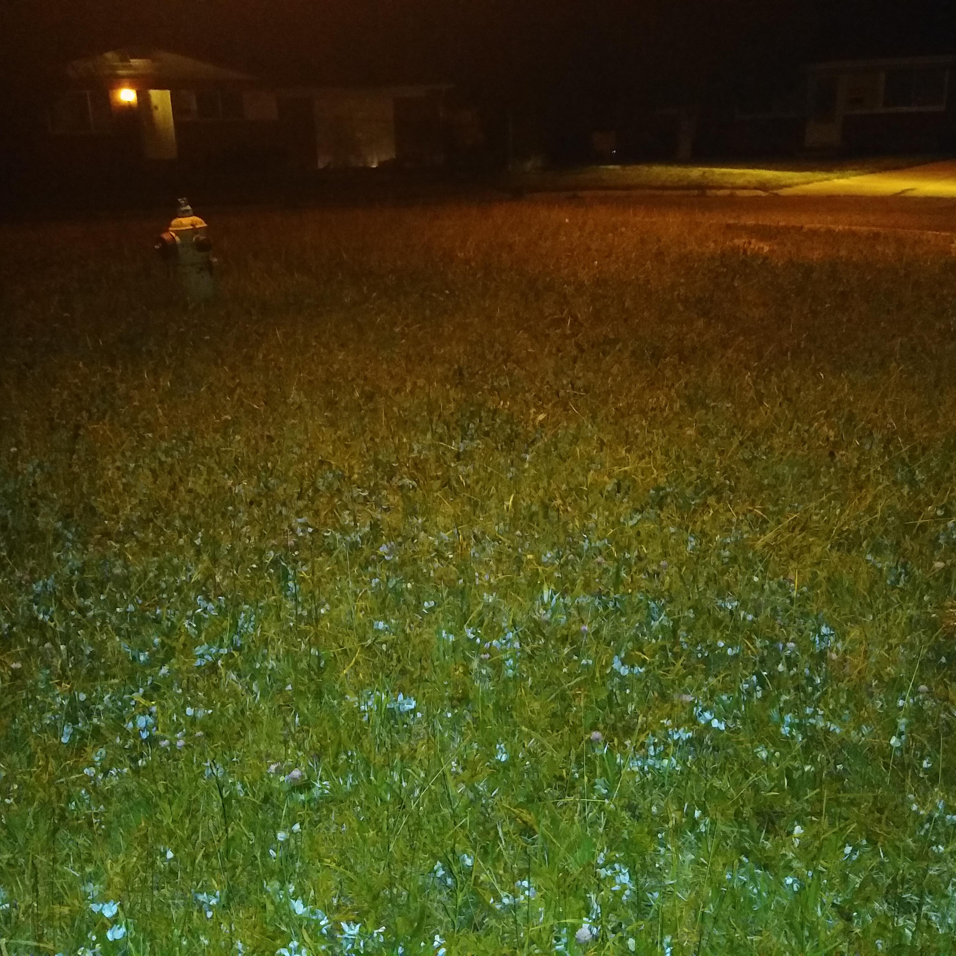 Shoot Me DXWN Ep artwork