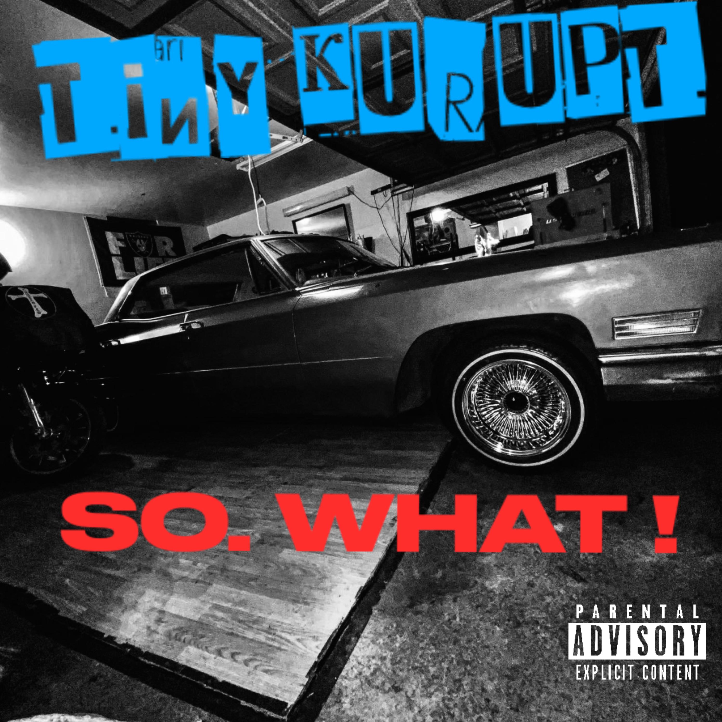 So WHAT ! artwork