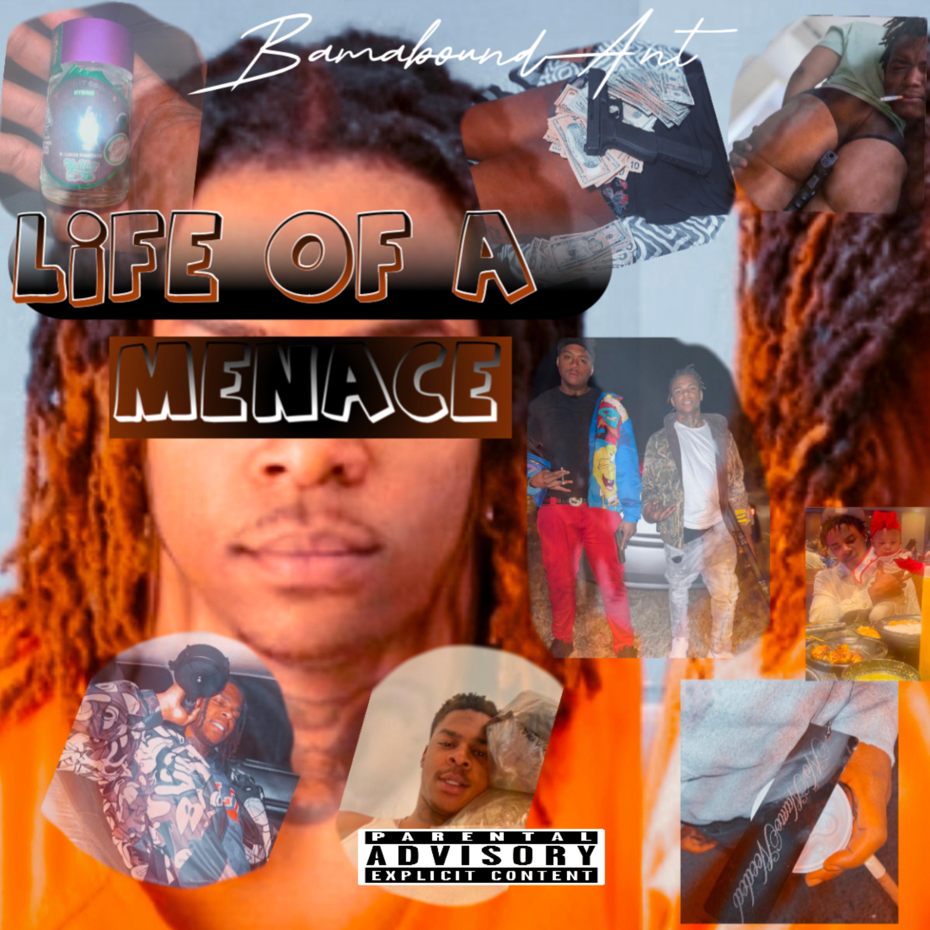 Life Of A Menace artwork