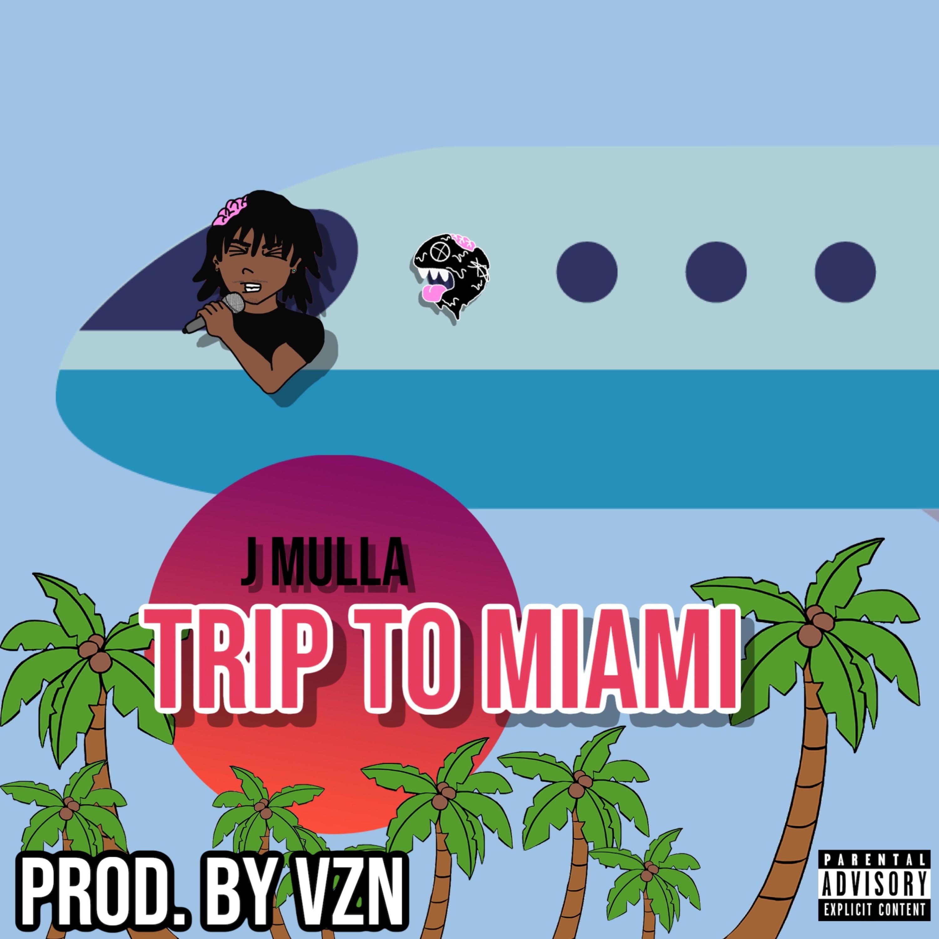 Trip To Miami artwork