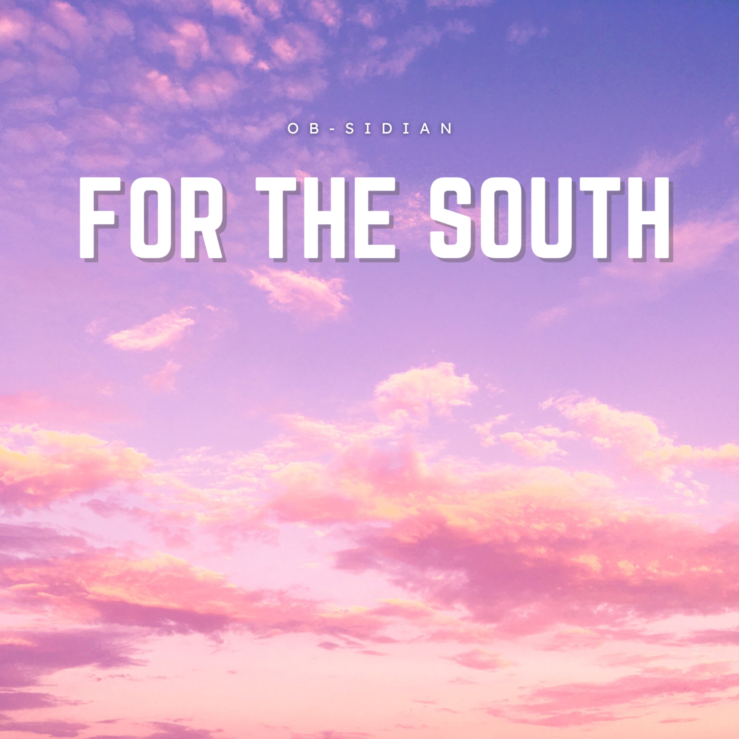 For The South artwork