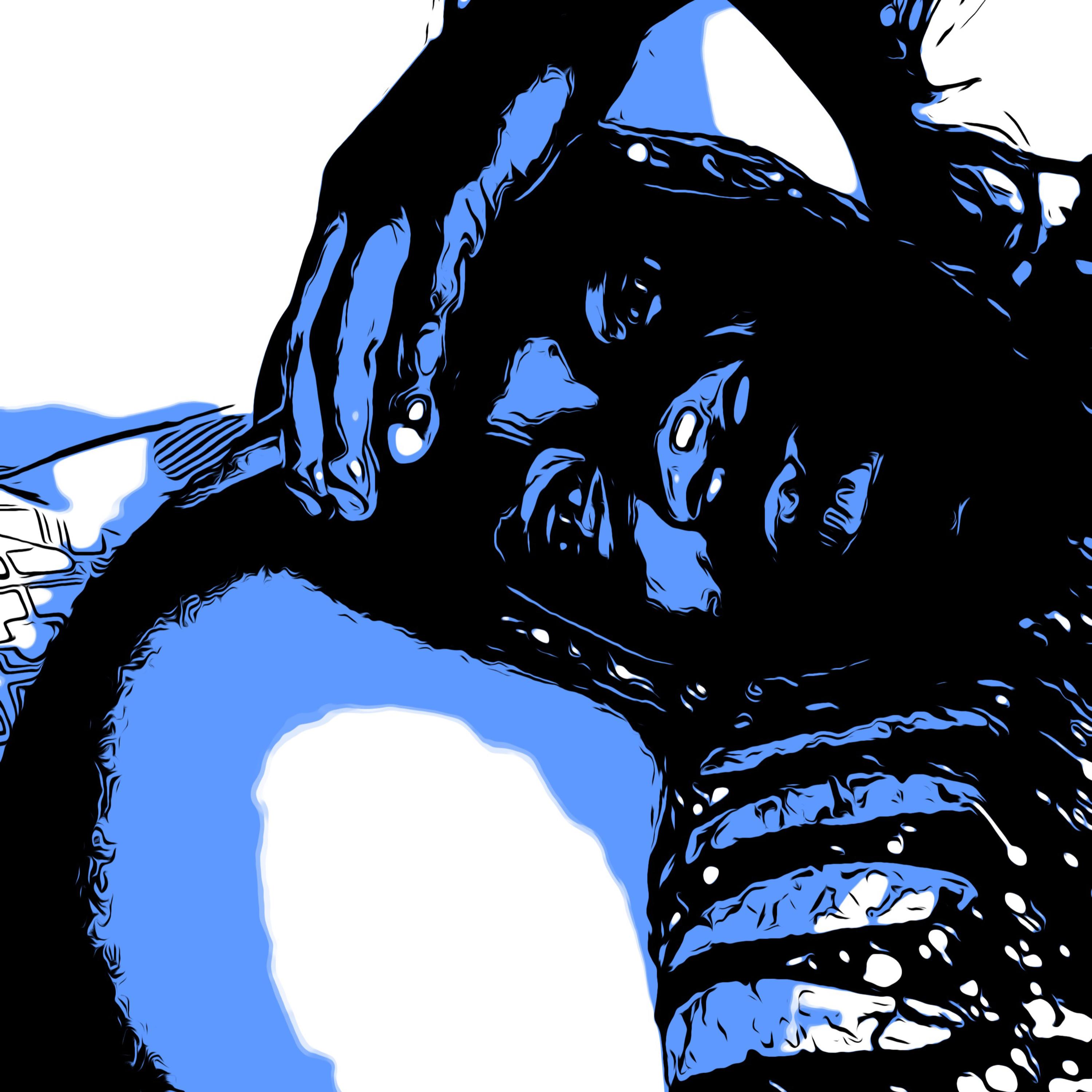 Tan Tuddy artwork