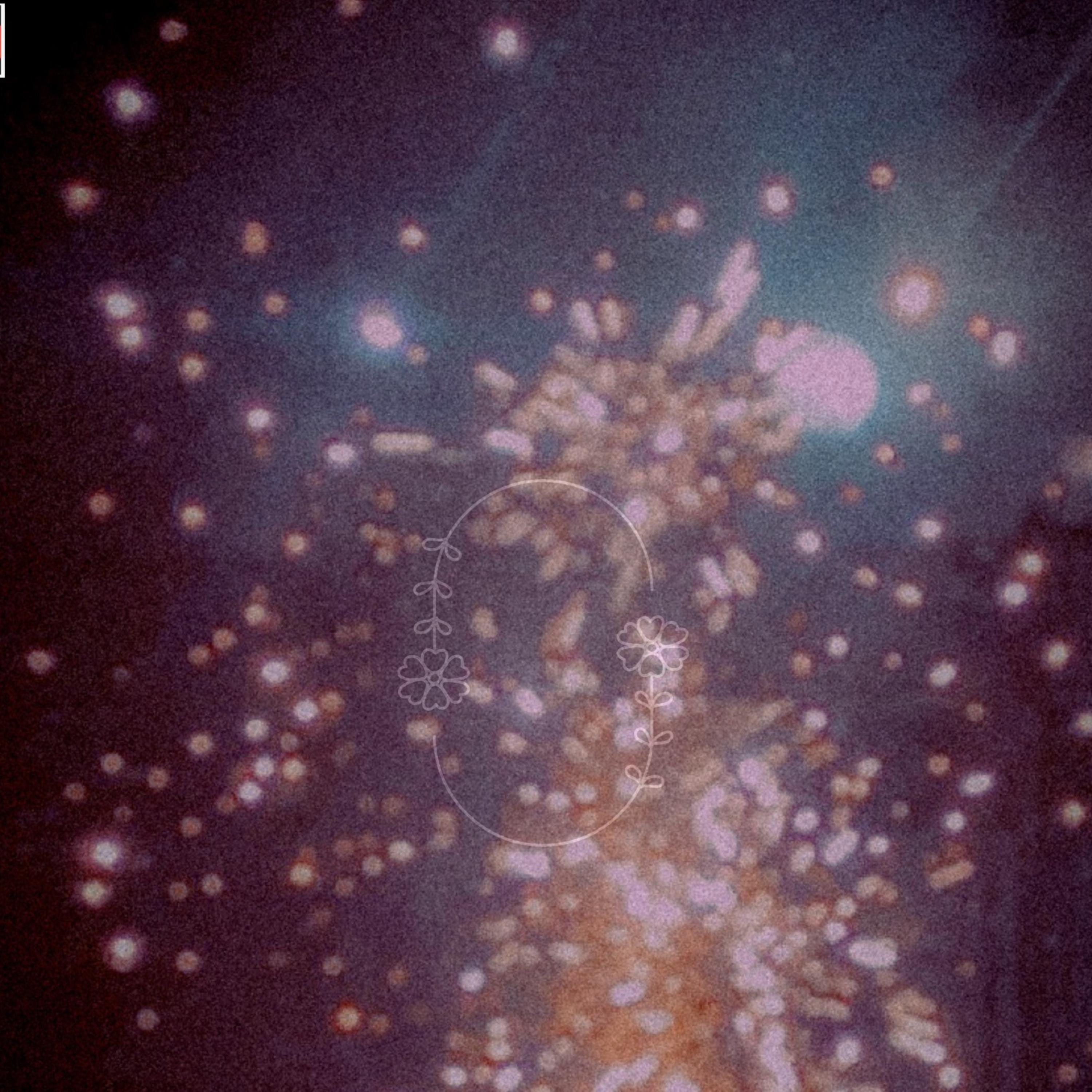 Connected artwork