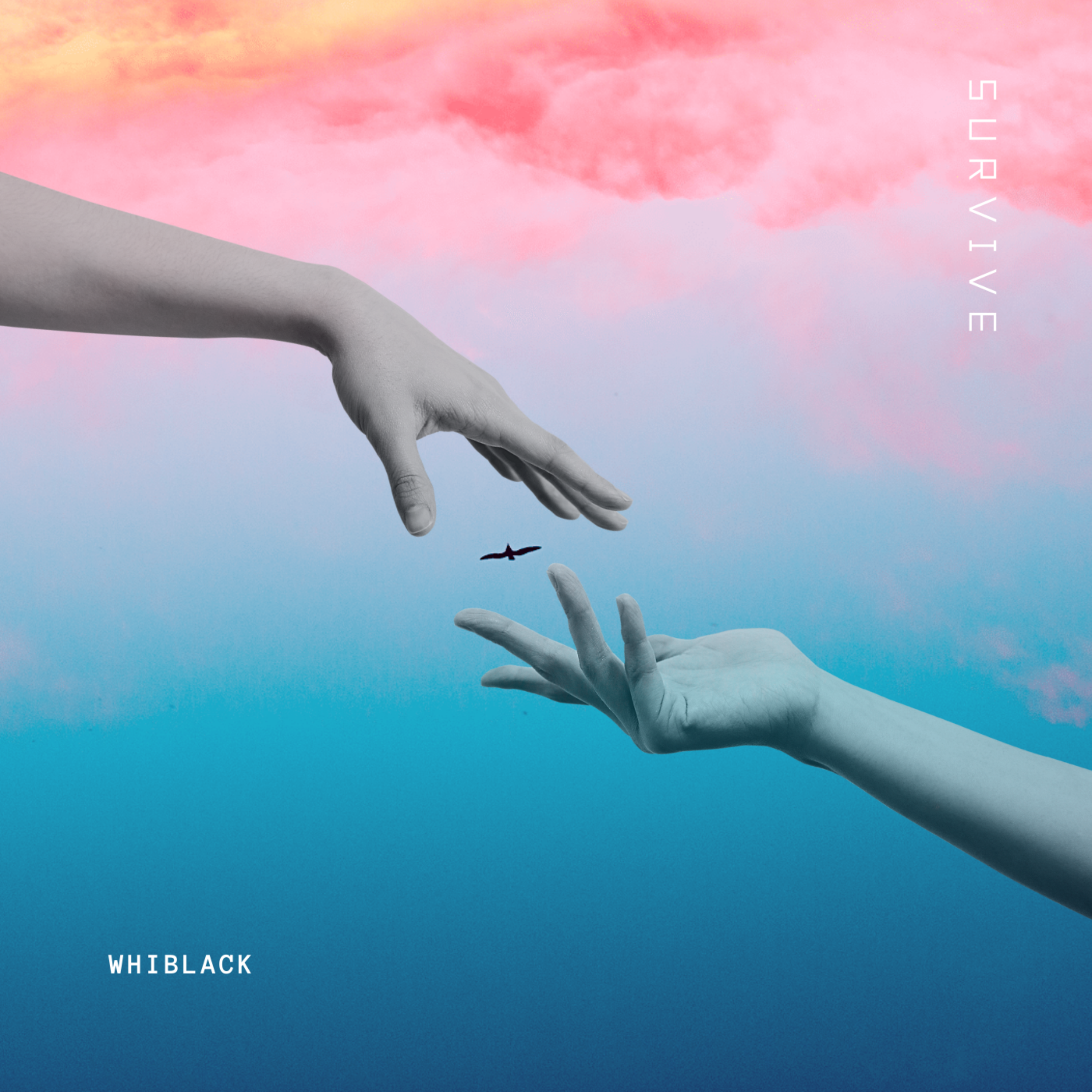 Survive artwork