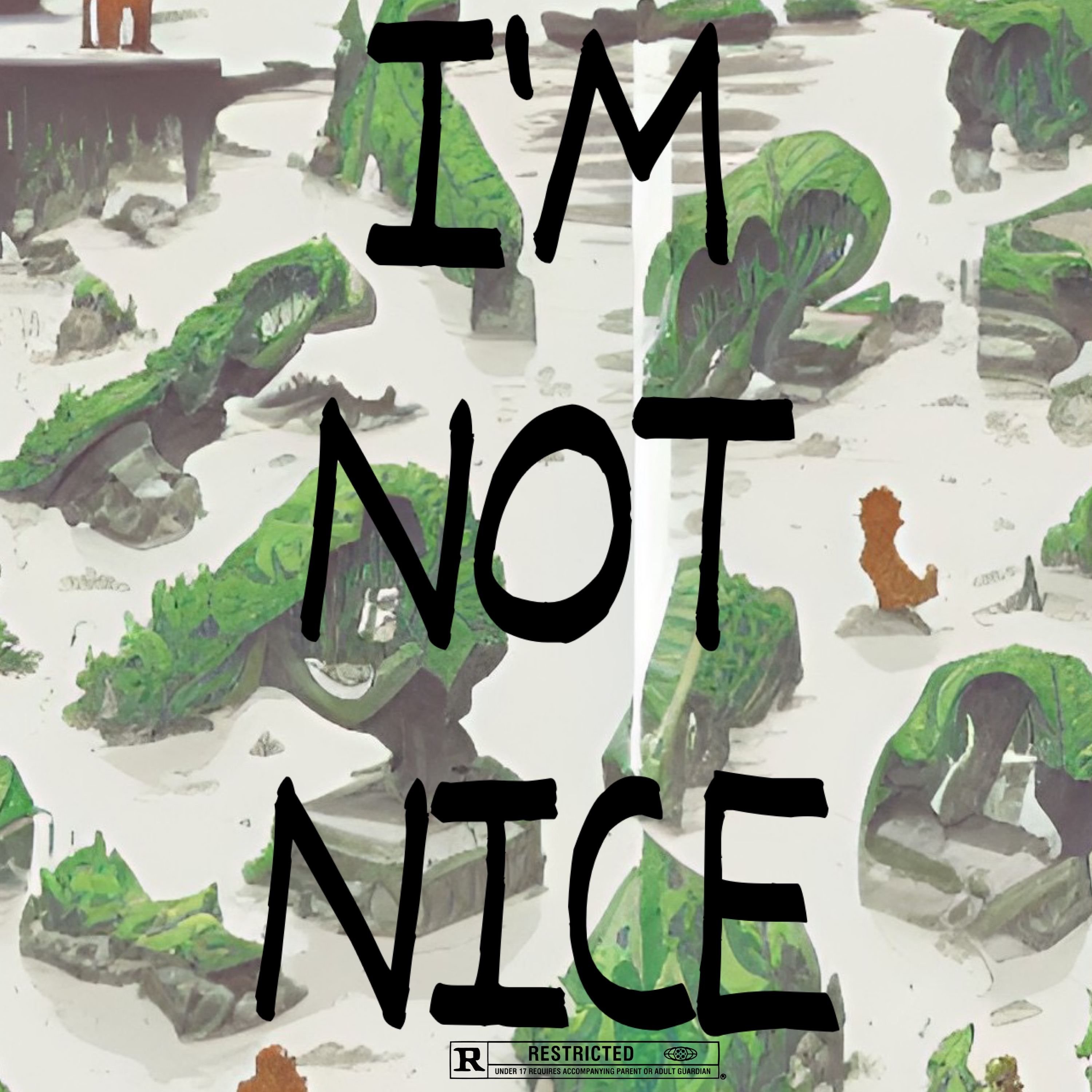 I'M NOT NICE artwork