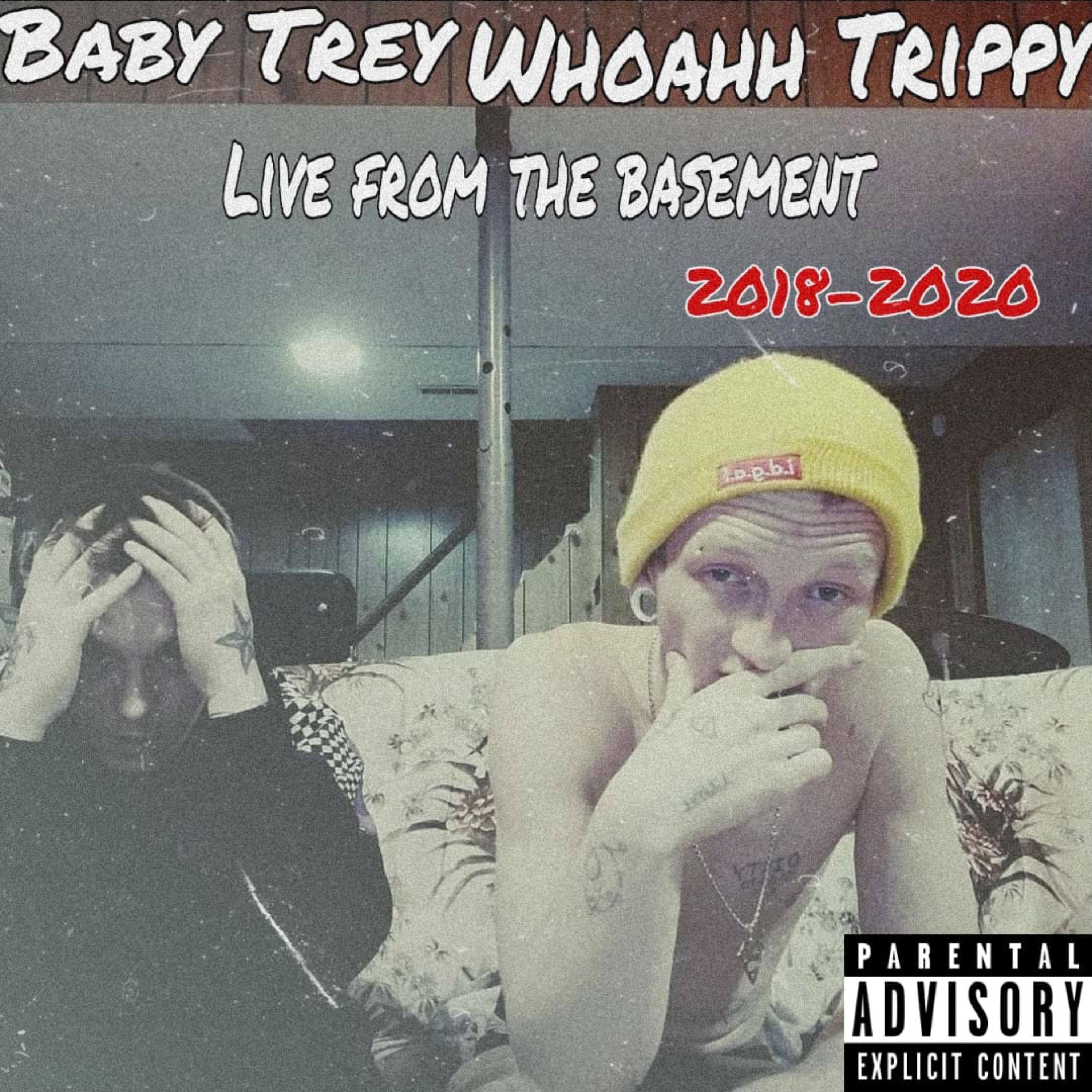 Present: Live From The Basement (2018-2020) artwork
