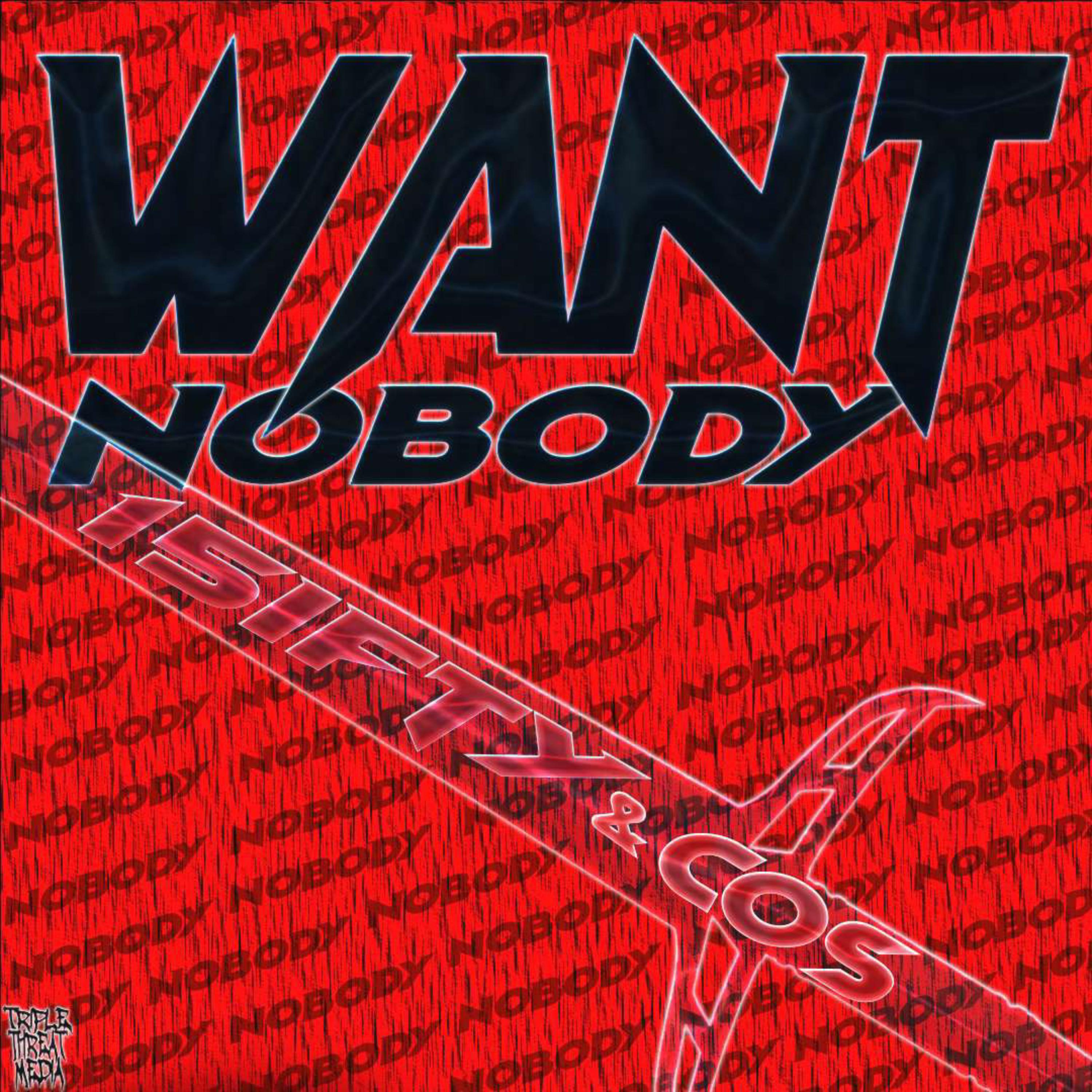 WANT NOBODY. artwork