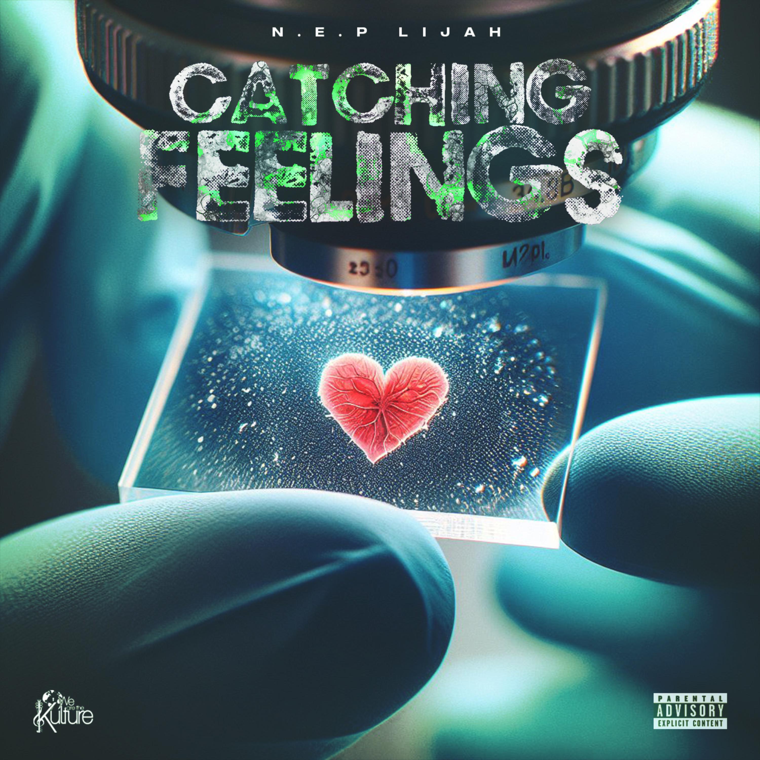 Catching Feelings  artwork