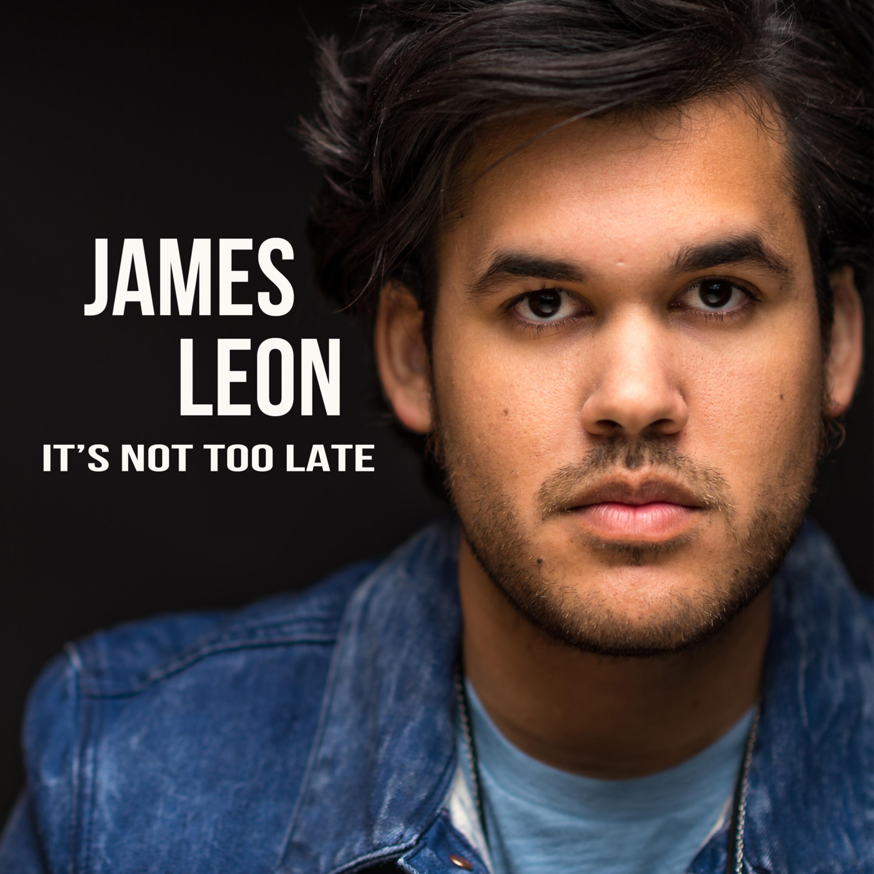 It’s Not Too Late artwork