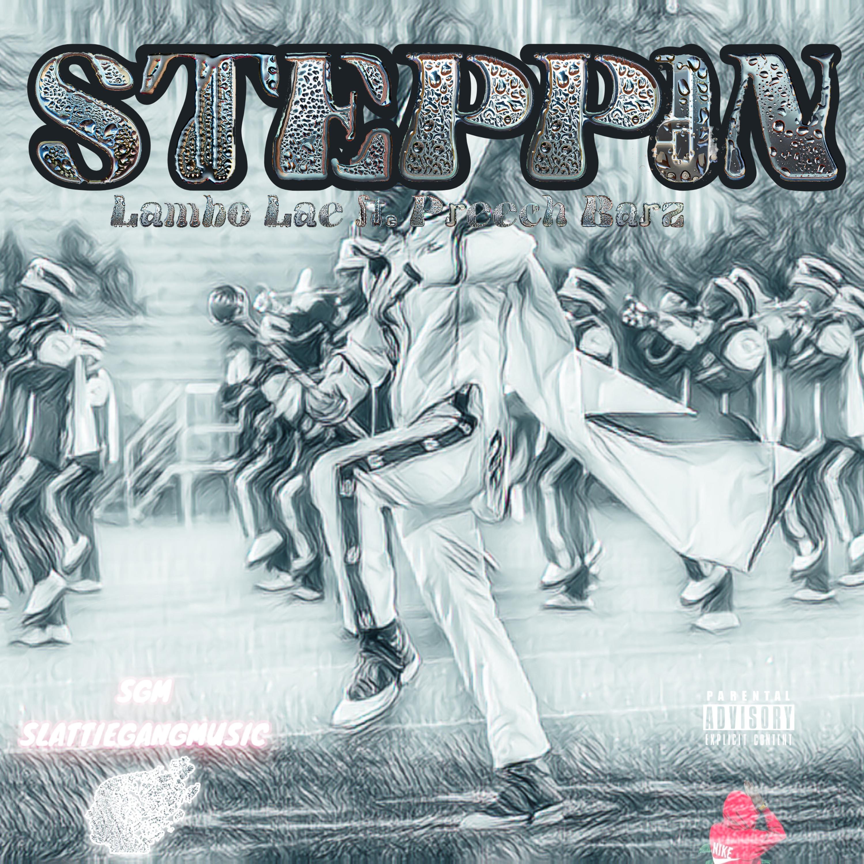 STEPPIN artwork