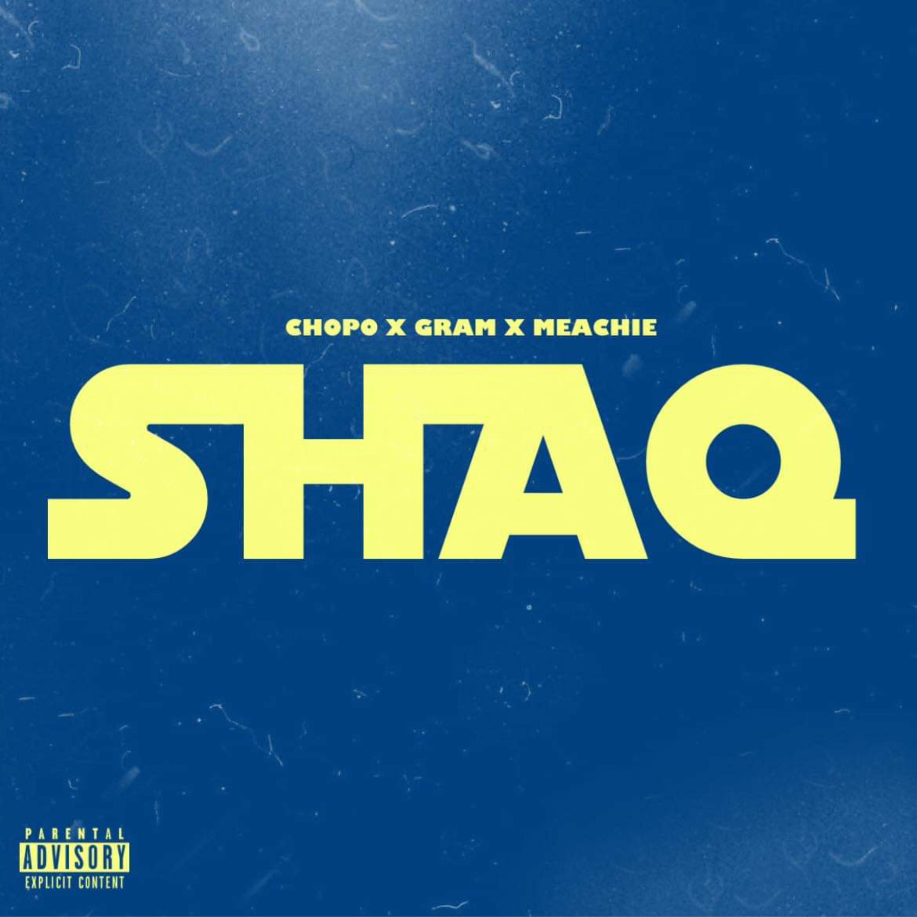 Shaq artwork