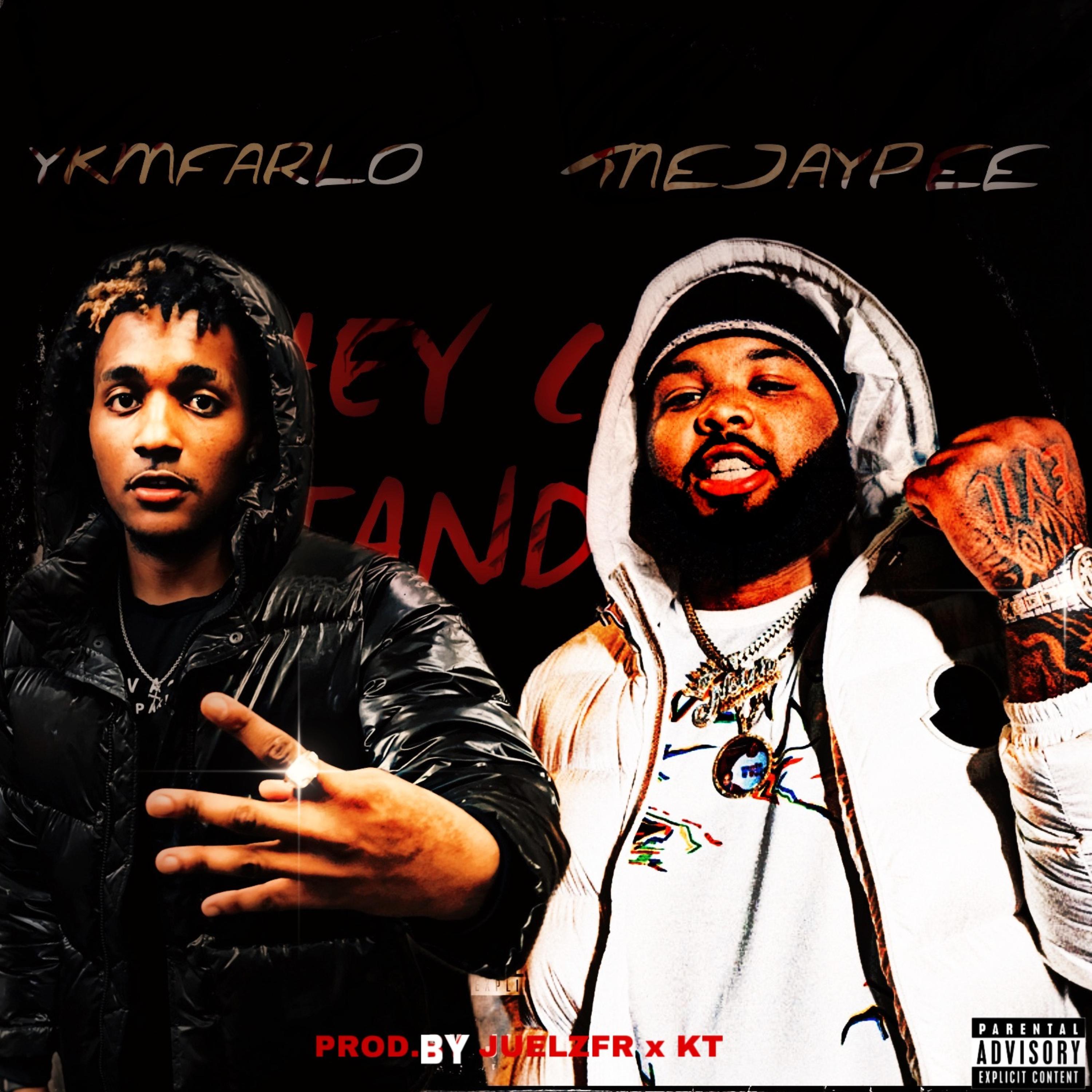 THEY CANT STAND US artwork