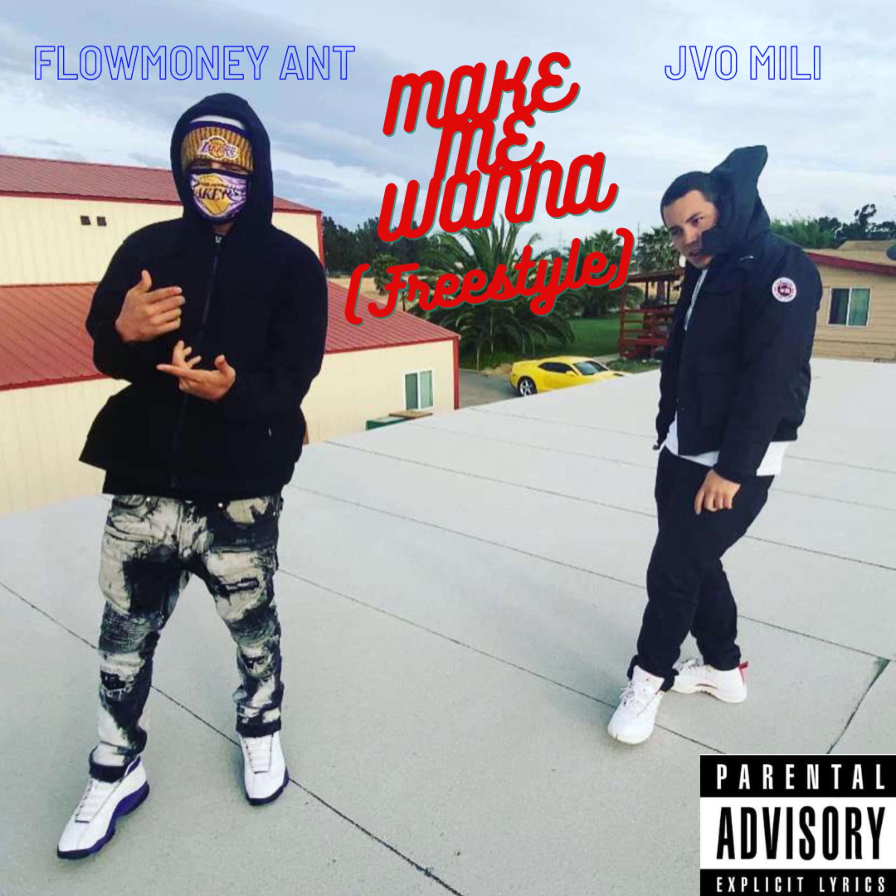 Make Me Wanna (freestyle) artwork