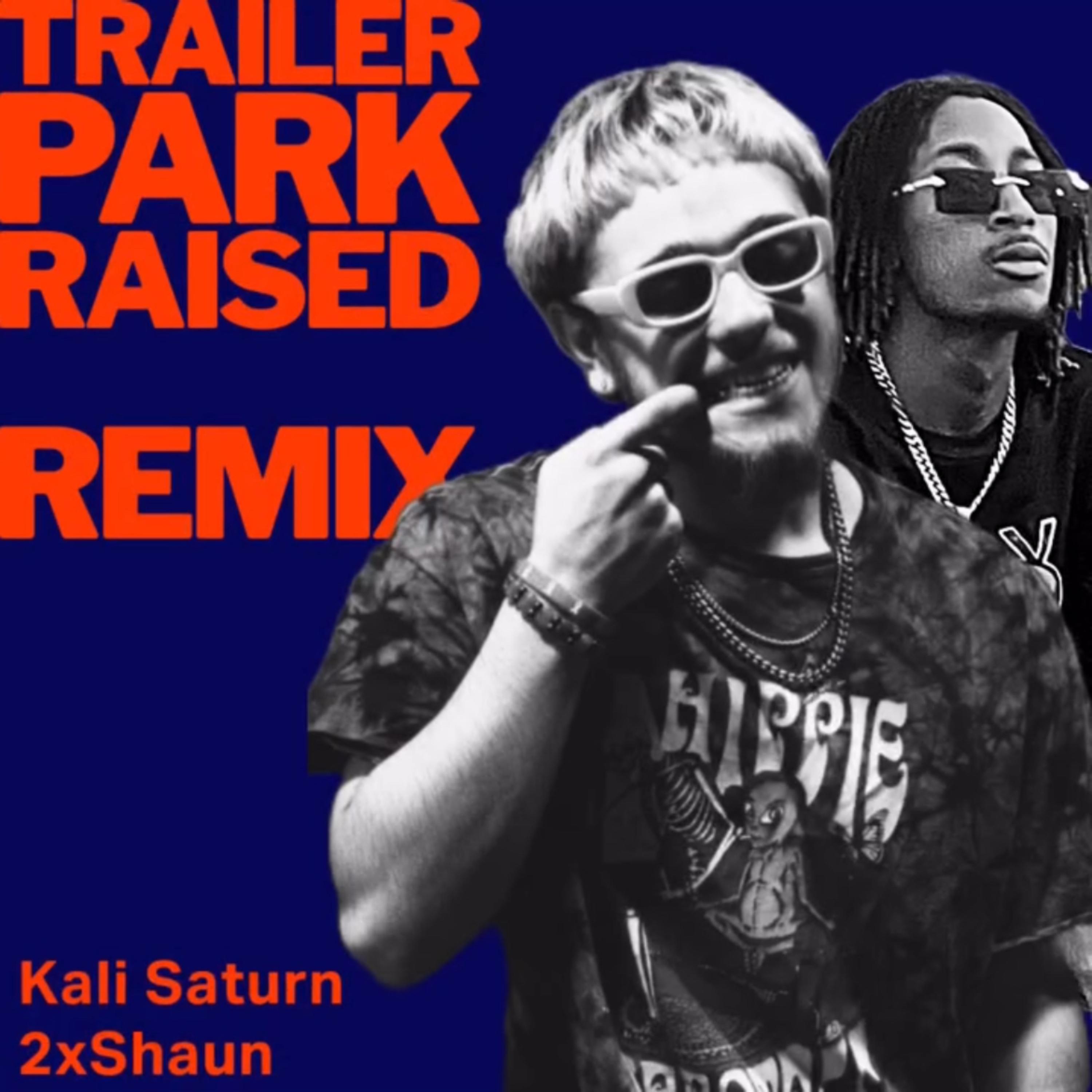 Trailer Park Raised (Remix) artwork