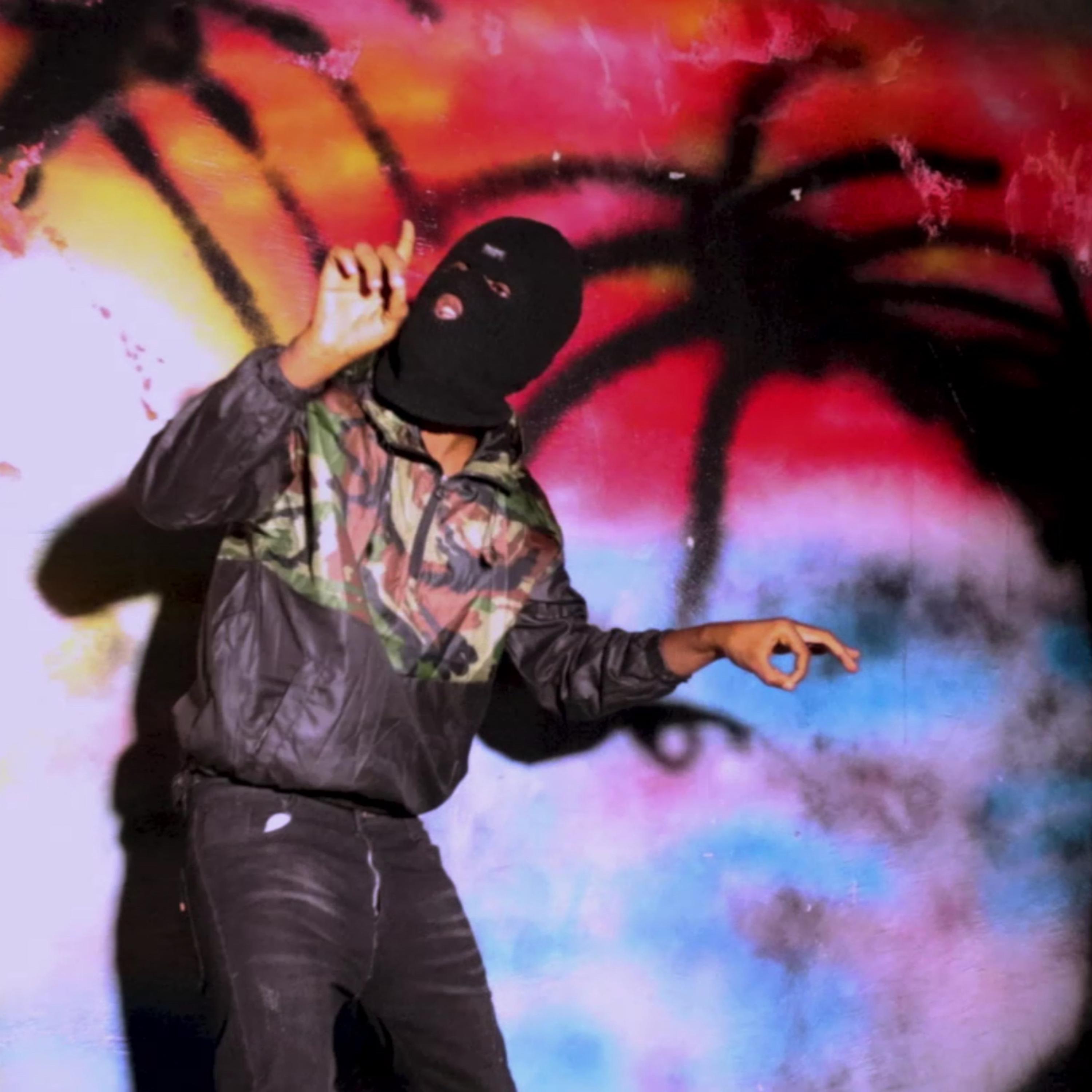 Tortue(ProMax) artwork