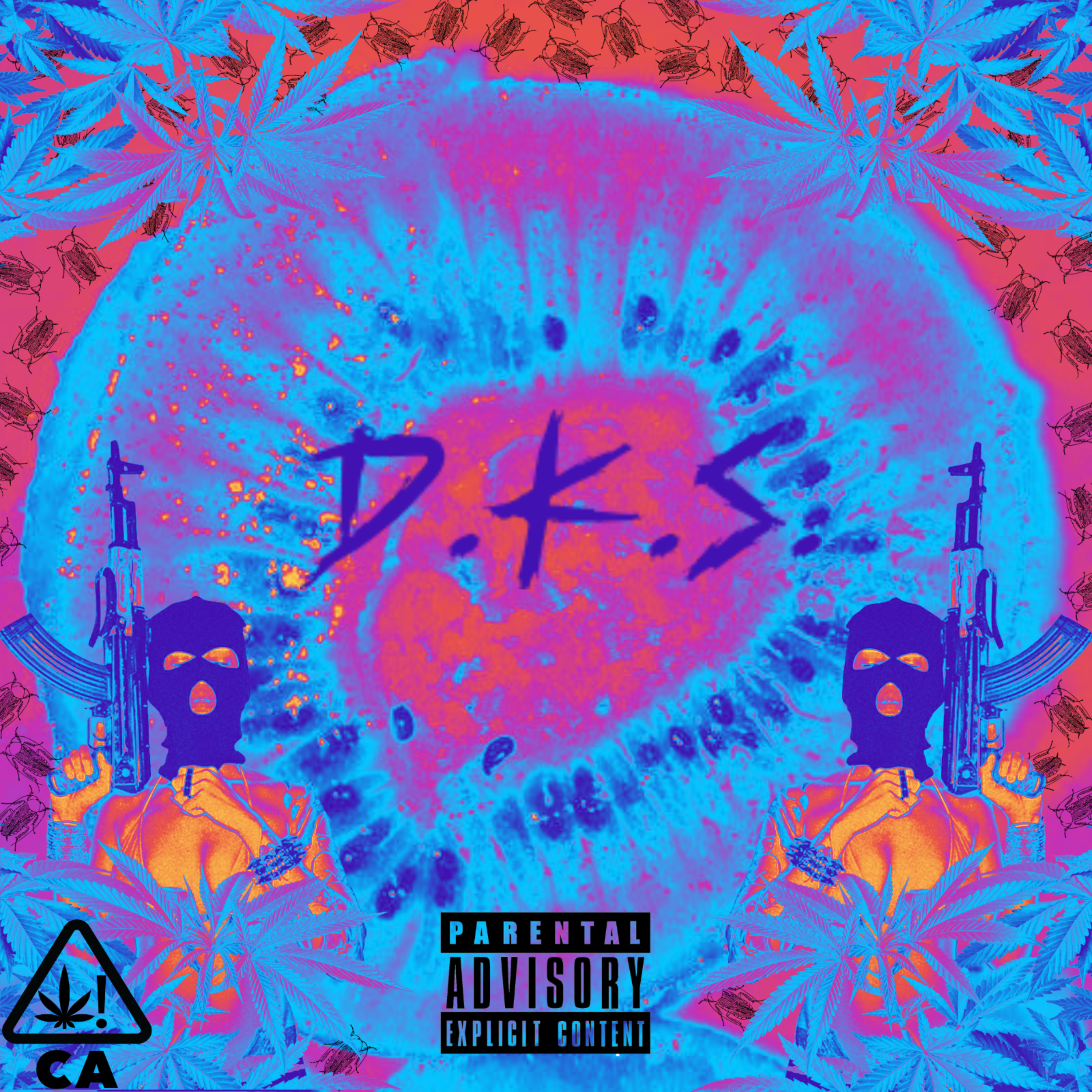 D.K.S.(Dirty/Kiwi/Sesh) artwork
