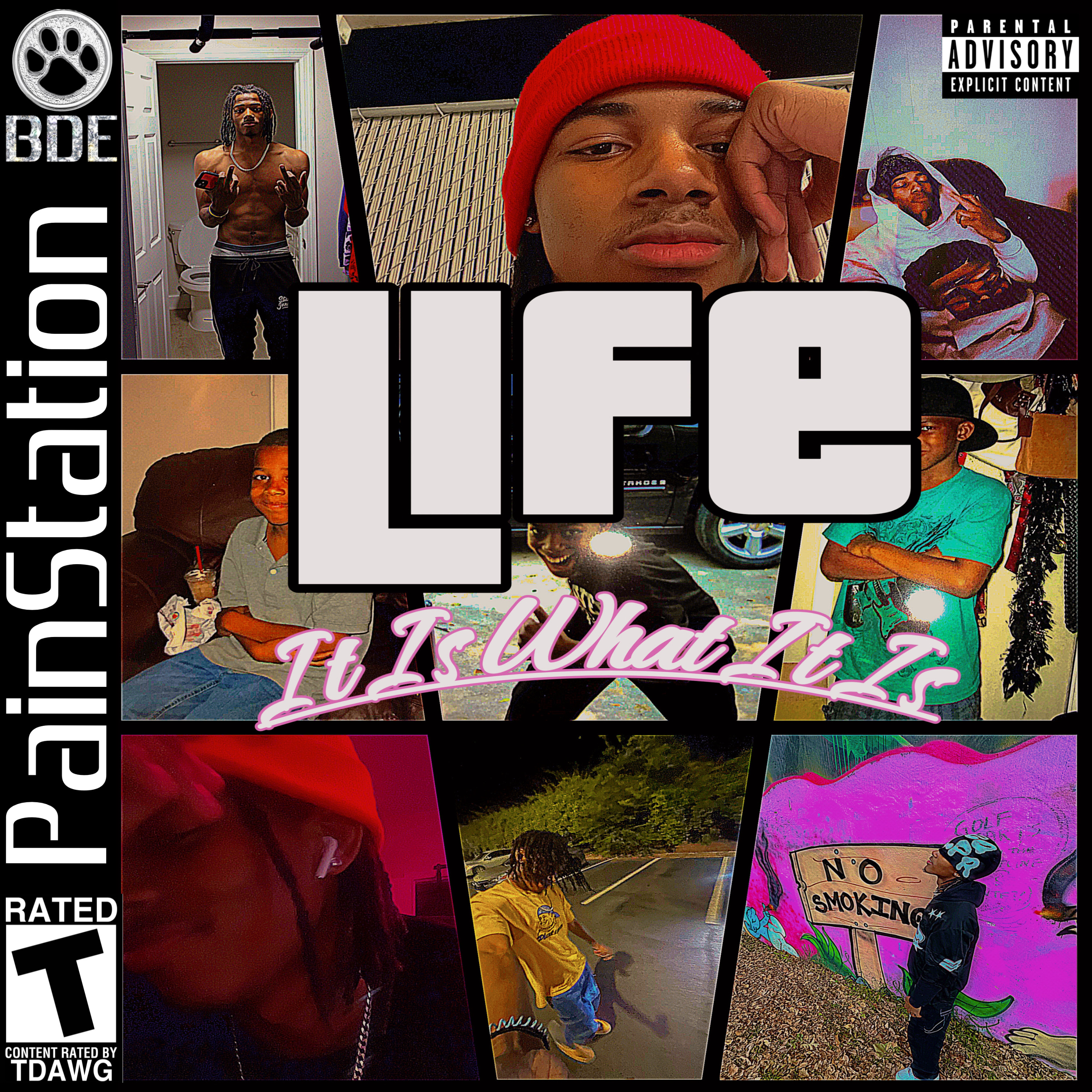 Life: It Is What It Is ( Volume 1) artwork