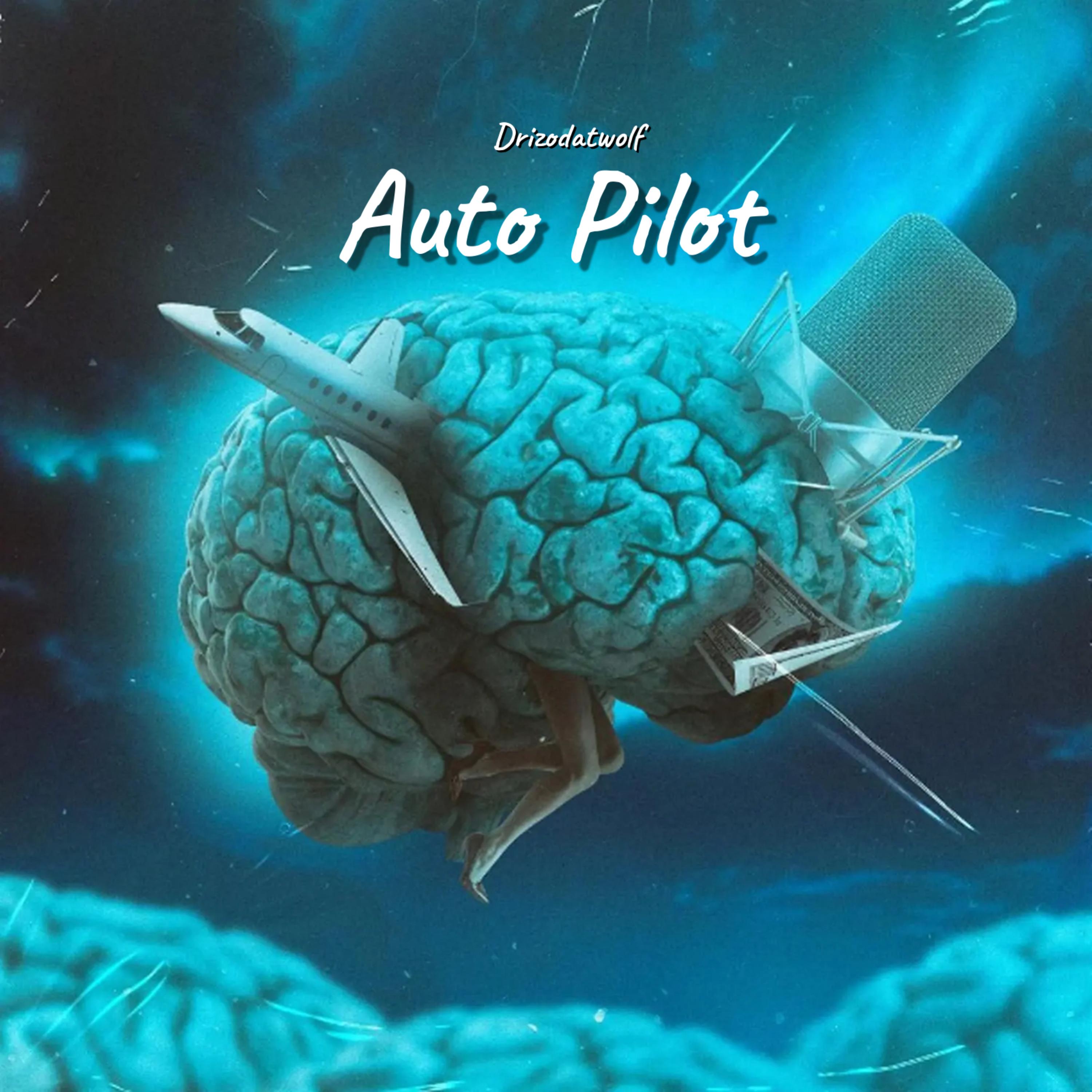 Auto Pilot artwork
