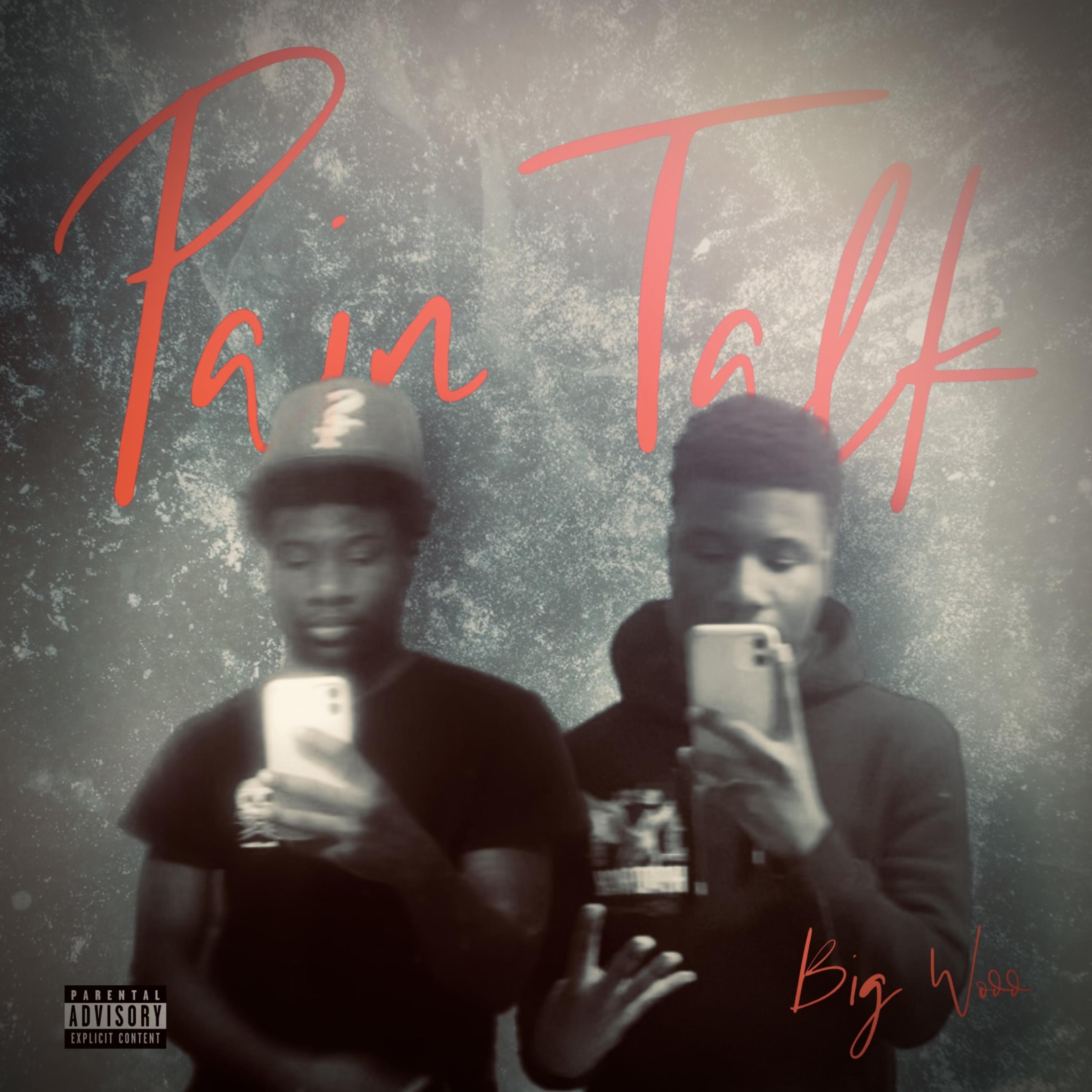 Pain Talk by Bigwoo2x cover art