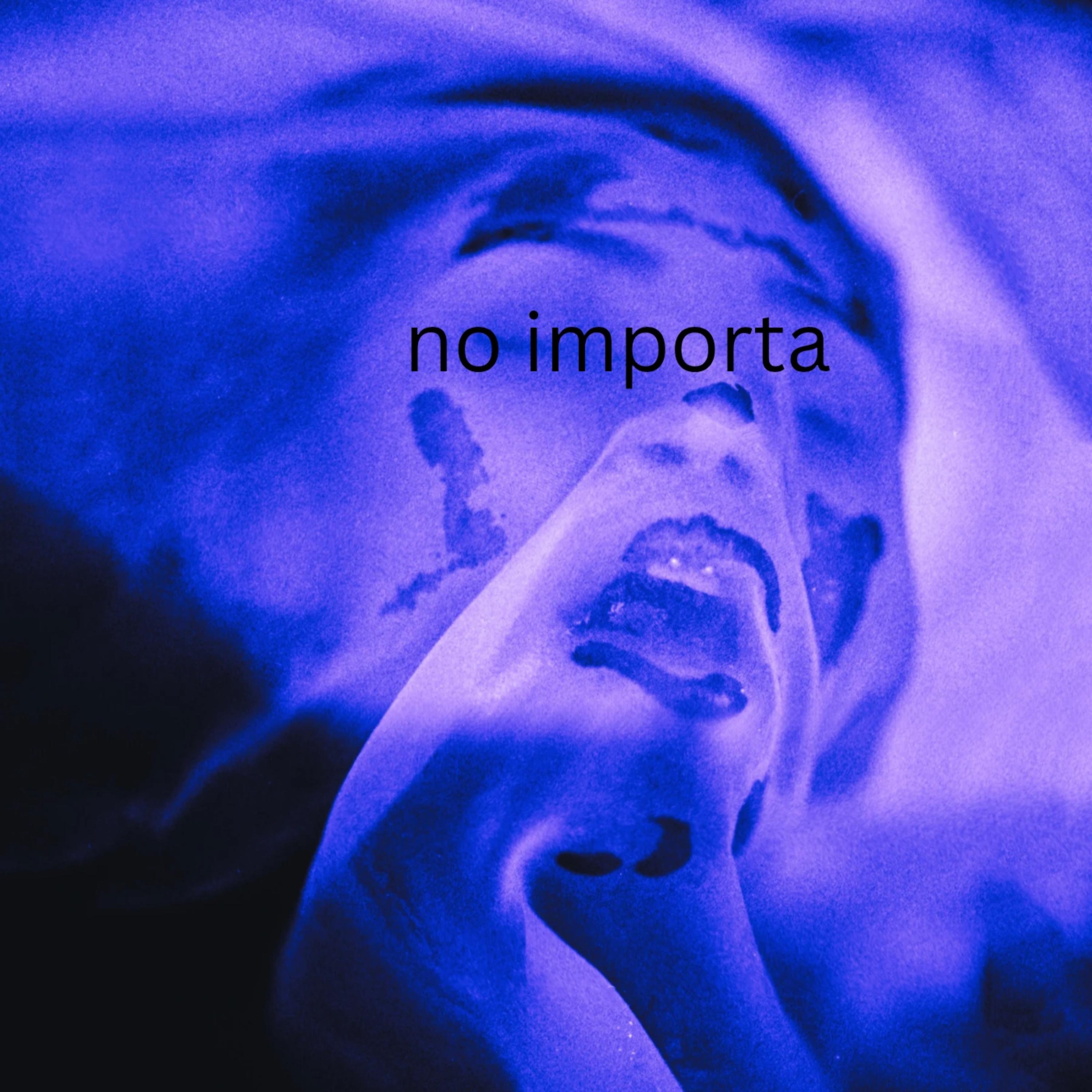 no importa by Nantendo cover art