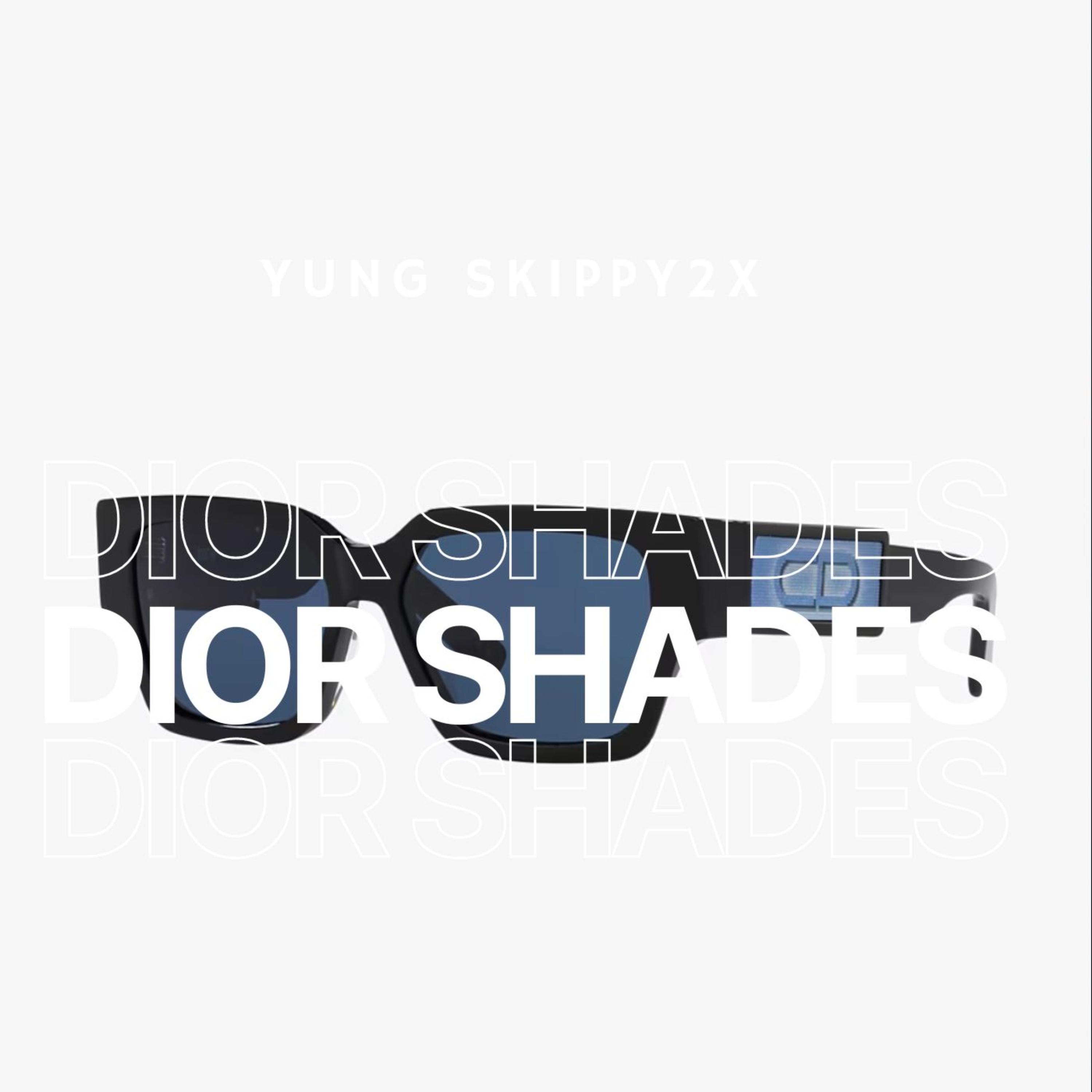 Dior Shades artwork