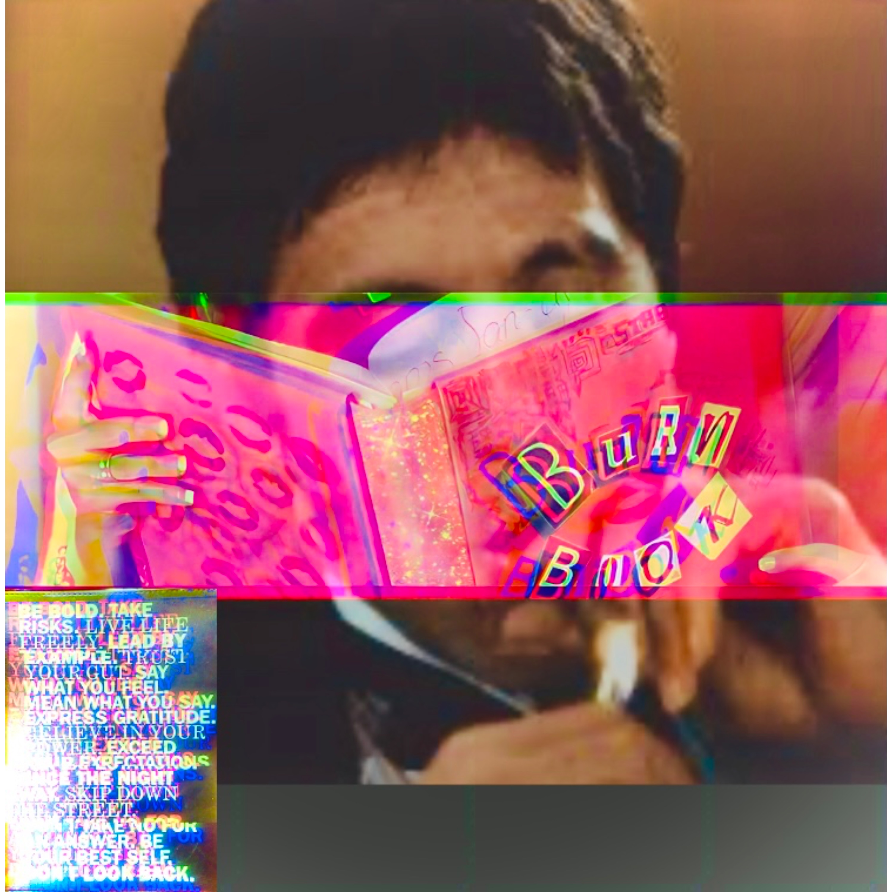 Burn Book: Only Innertain Ment artwork