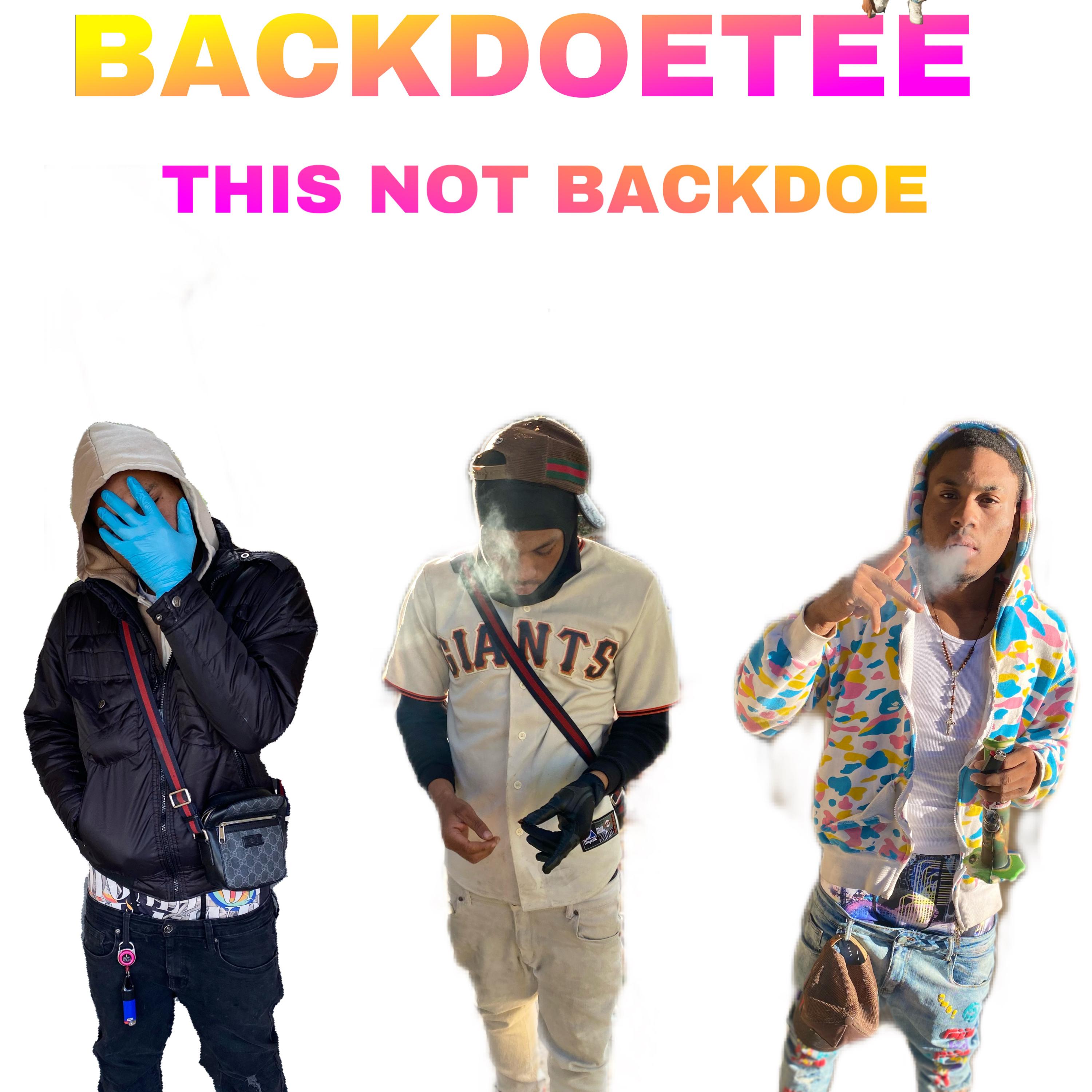 THIS NOT BACKDOE artwork