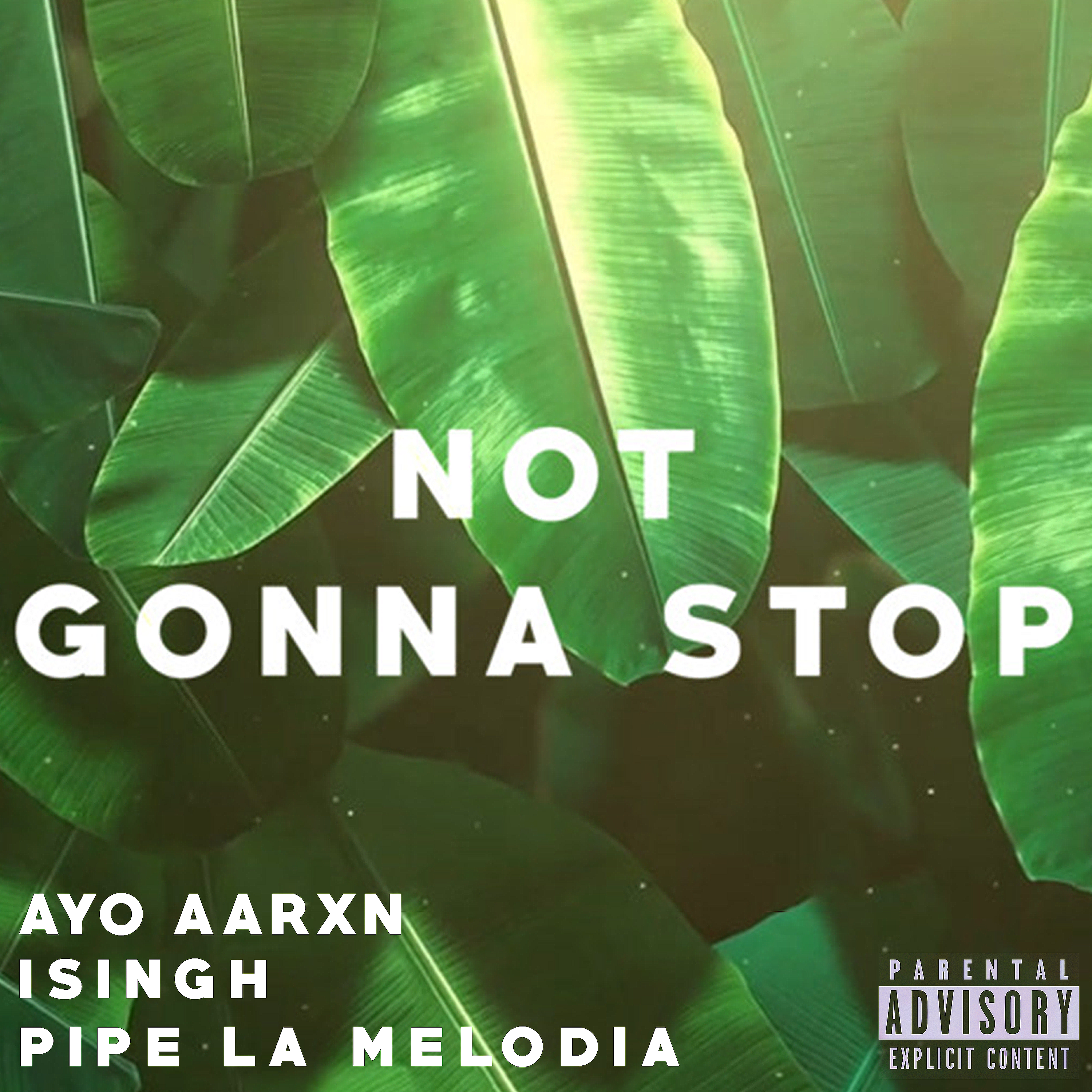 Not Gonna Stop artwork