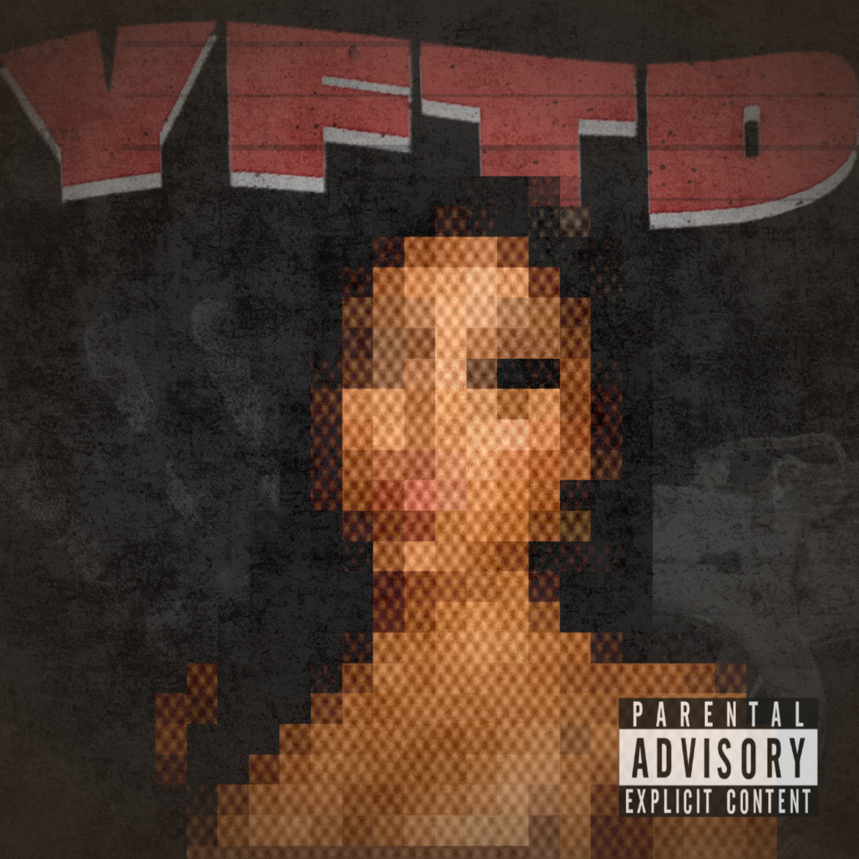 You Fit The Description artwork
