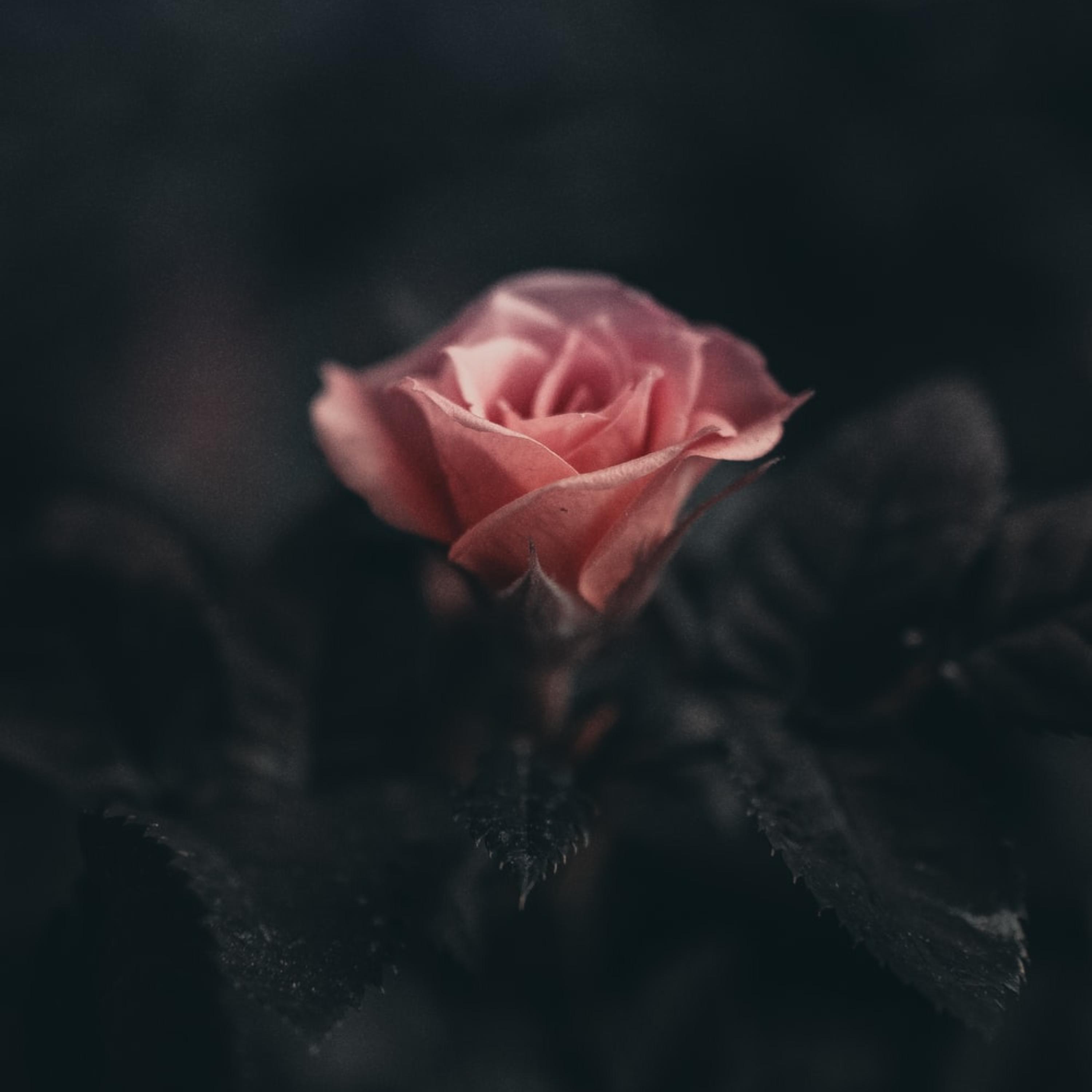 God Will Tell You artwork
