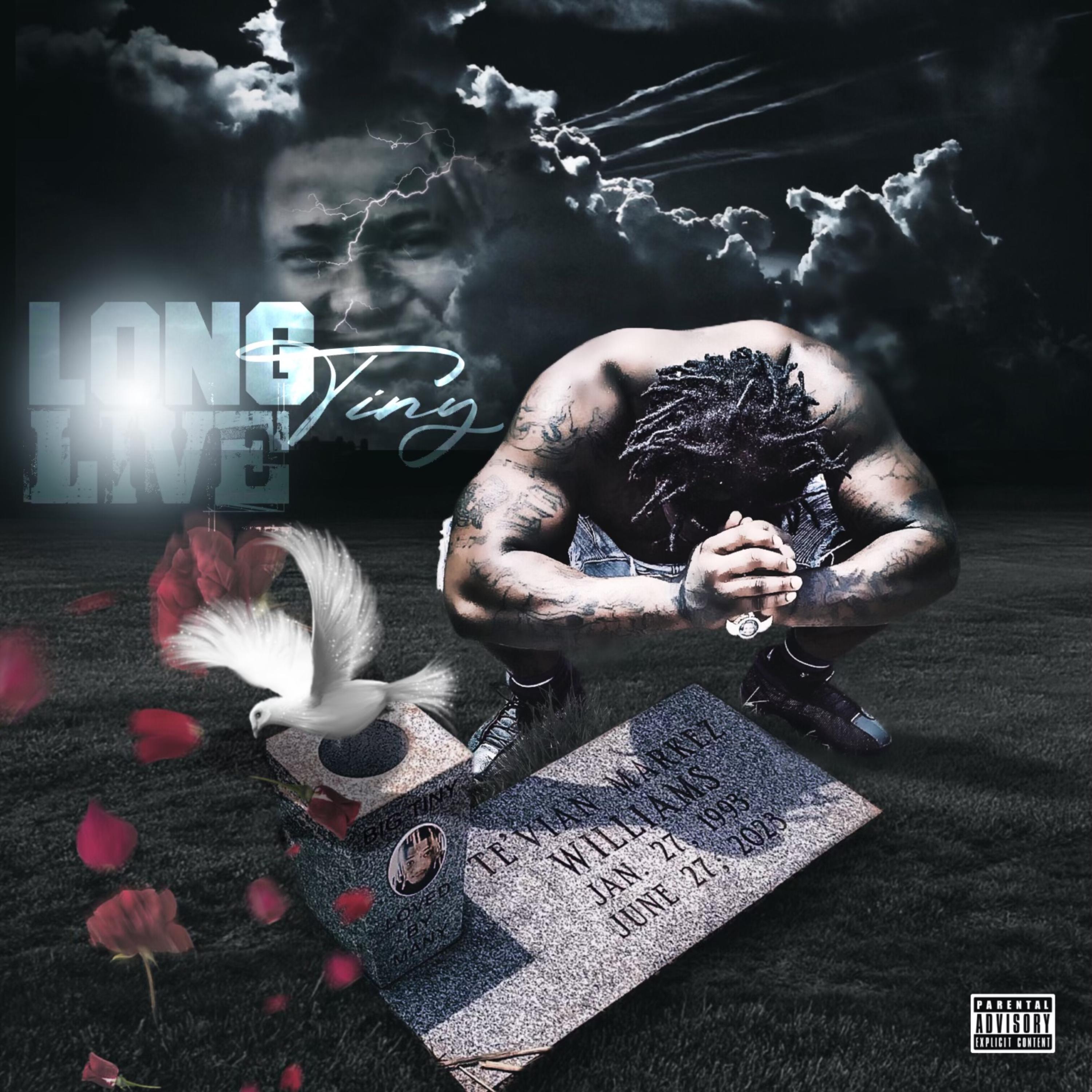 Long Live Tiny artwork