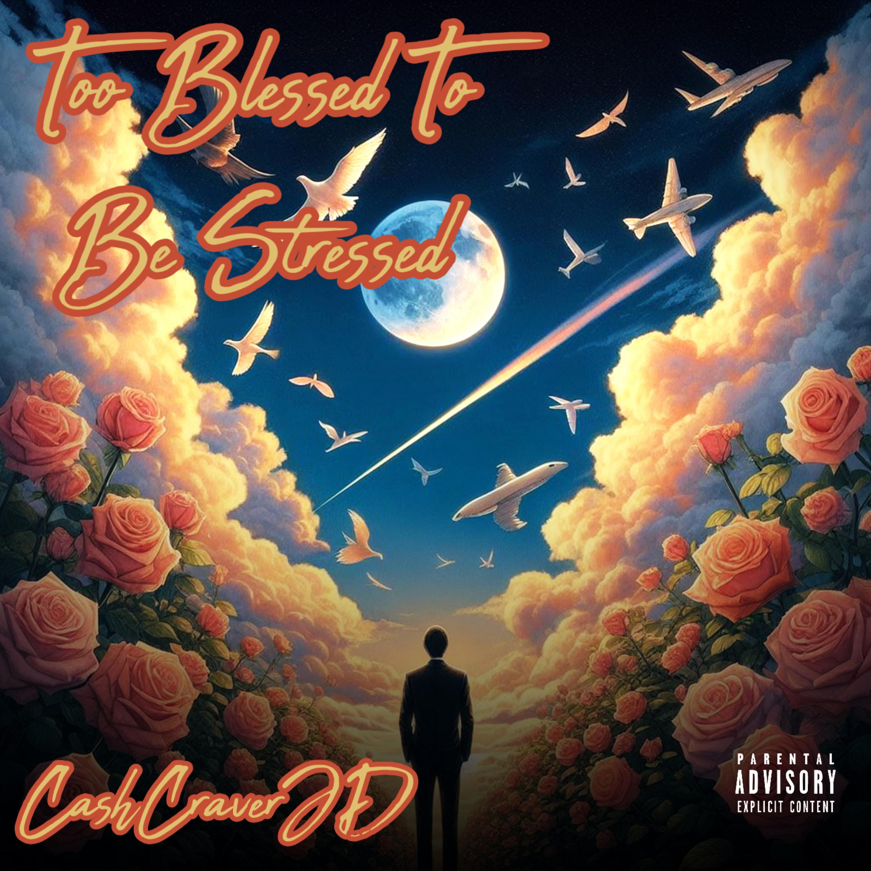Too Blessed To Be Stressed artwork