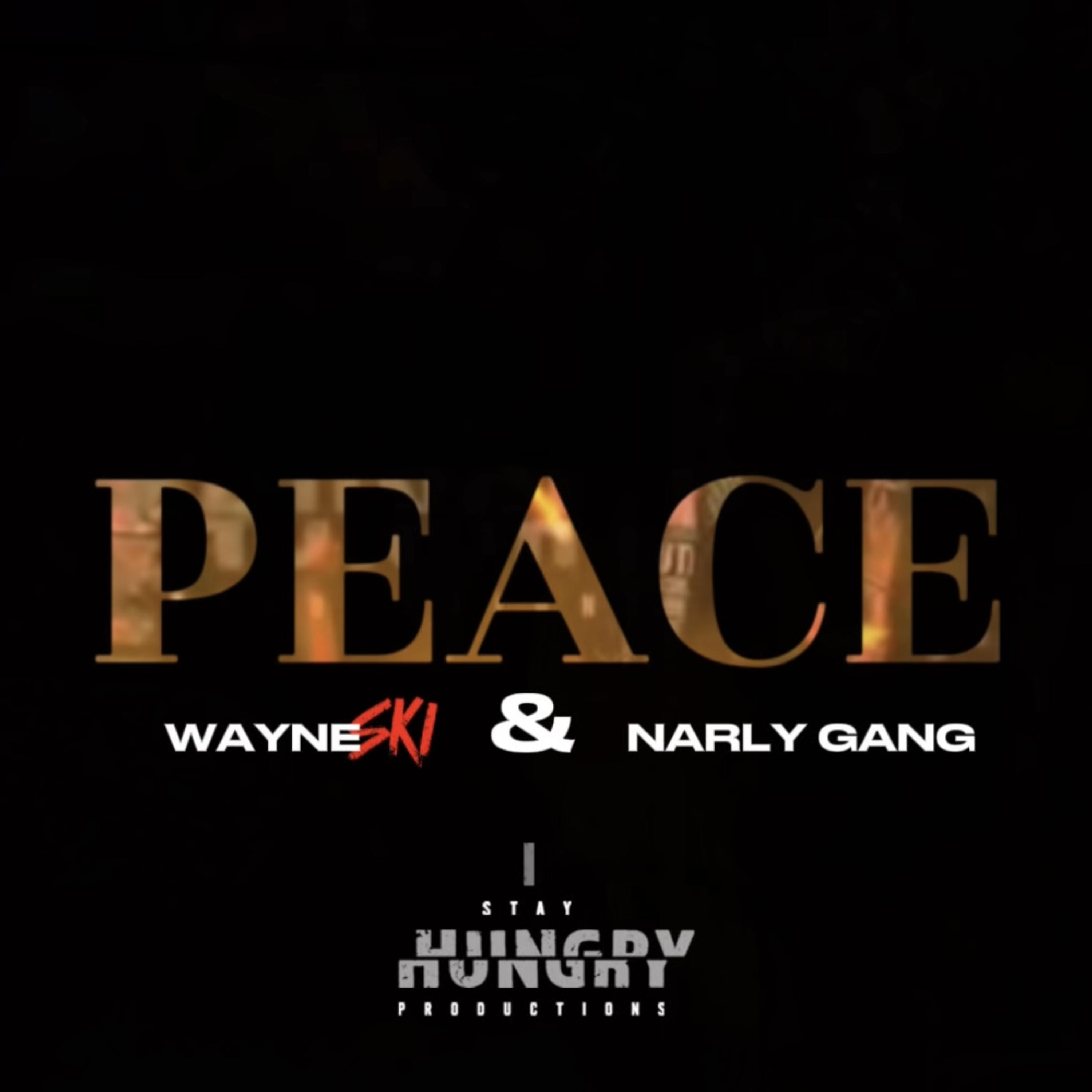 Peace by Wayne SKI cover art
