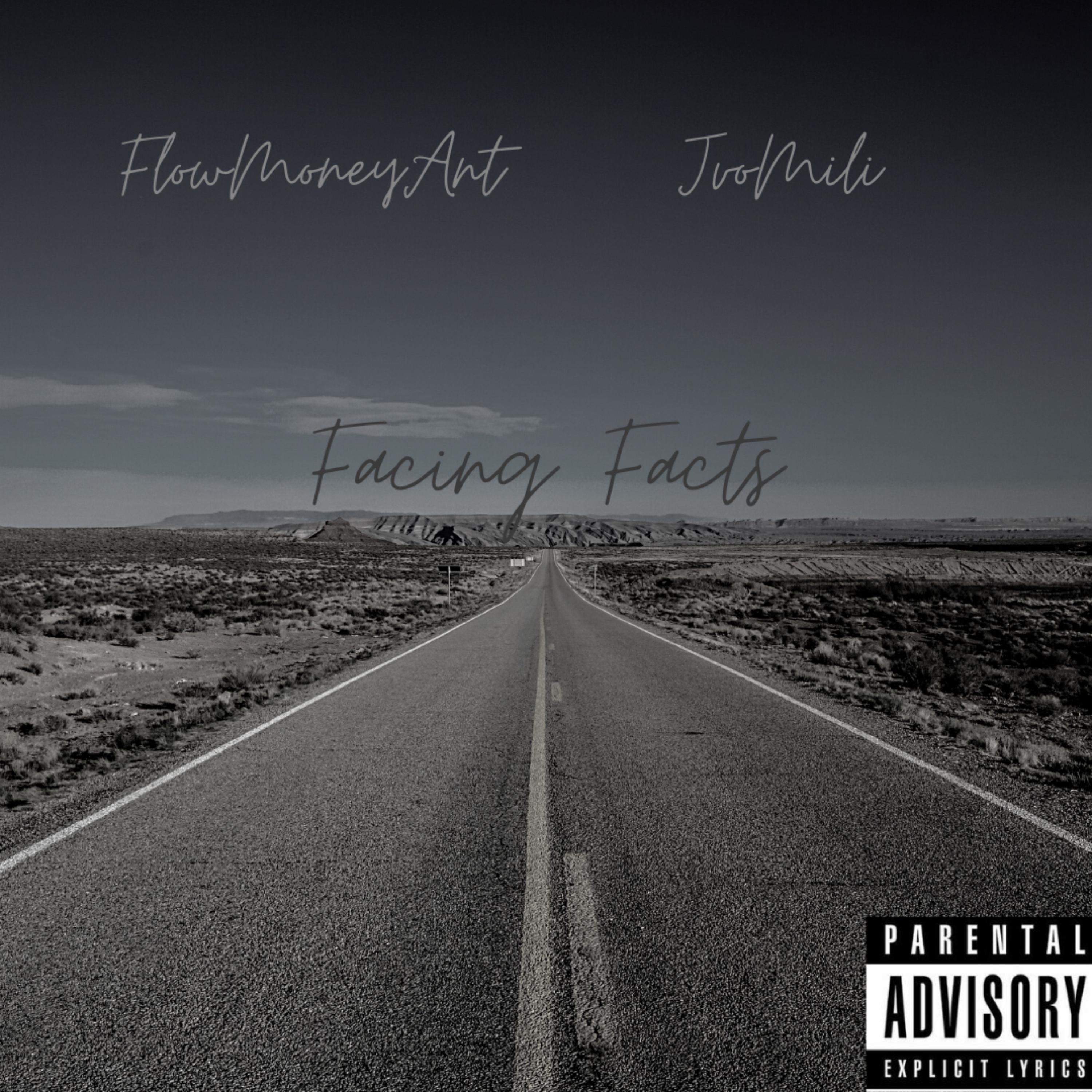 Facing Facts artwork