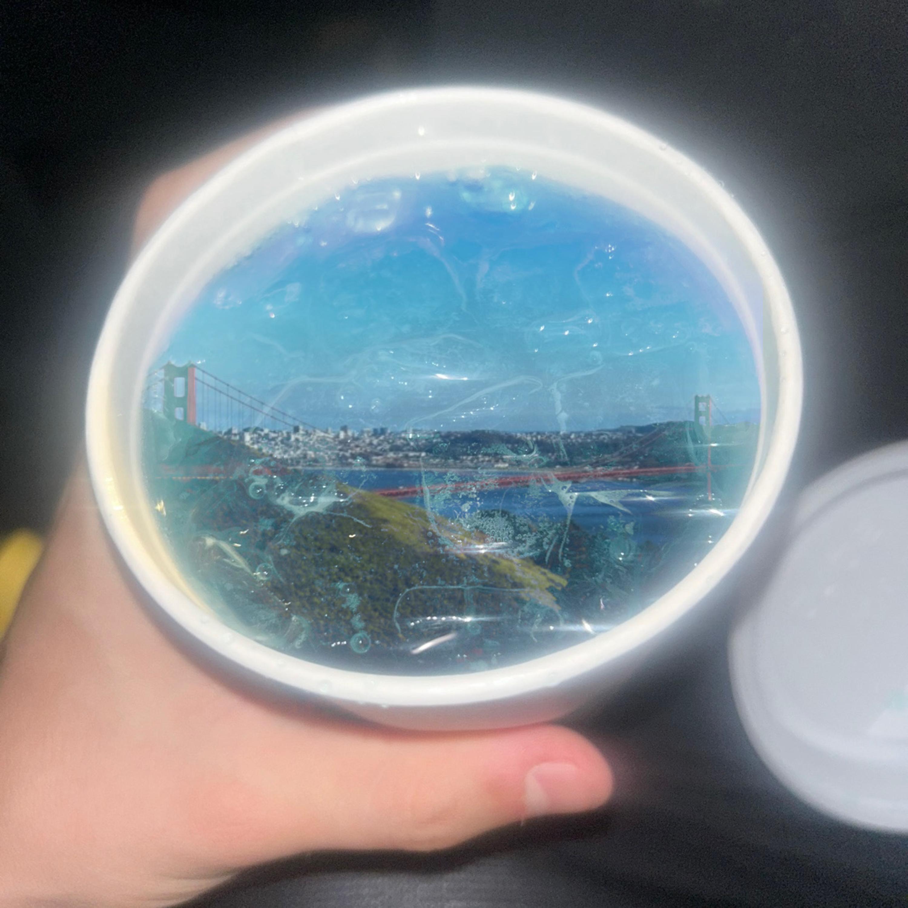 Where The Coast Is artwork